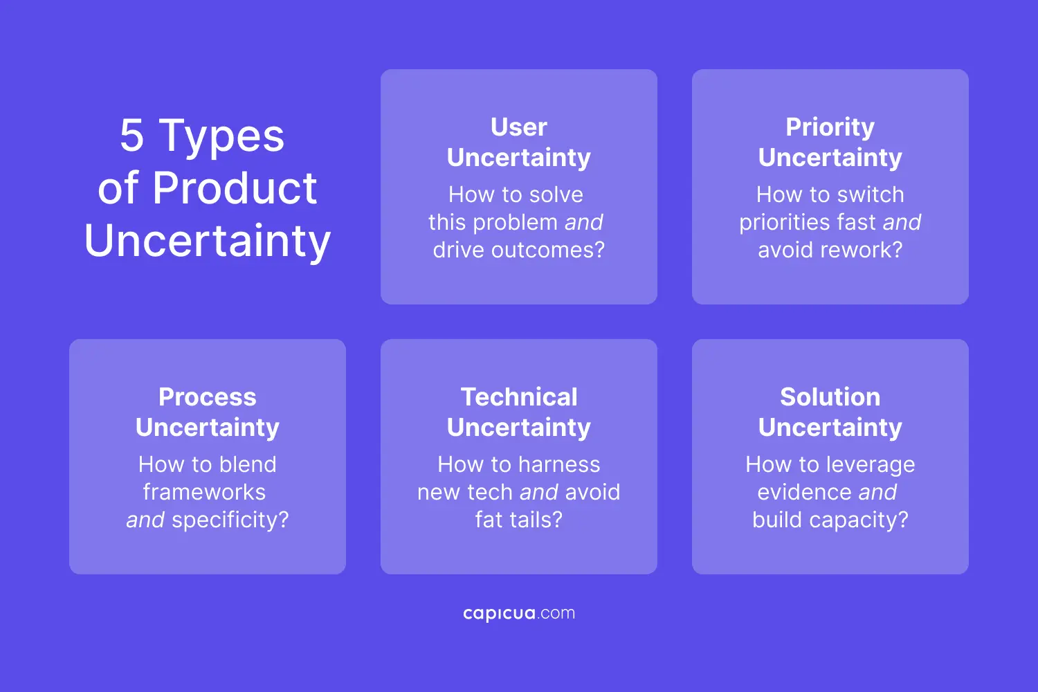 Capicua Product Growth Partner