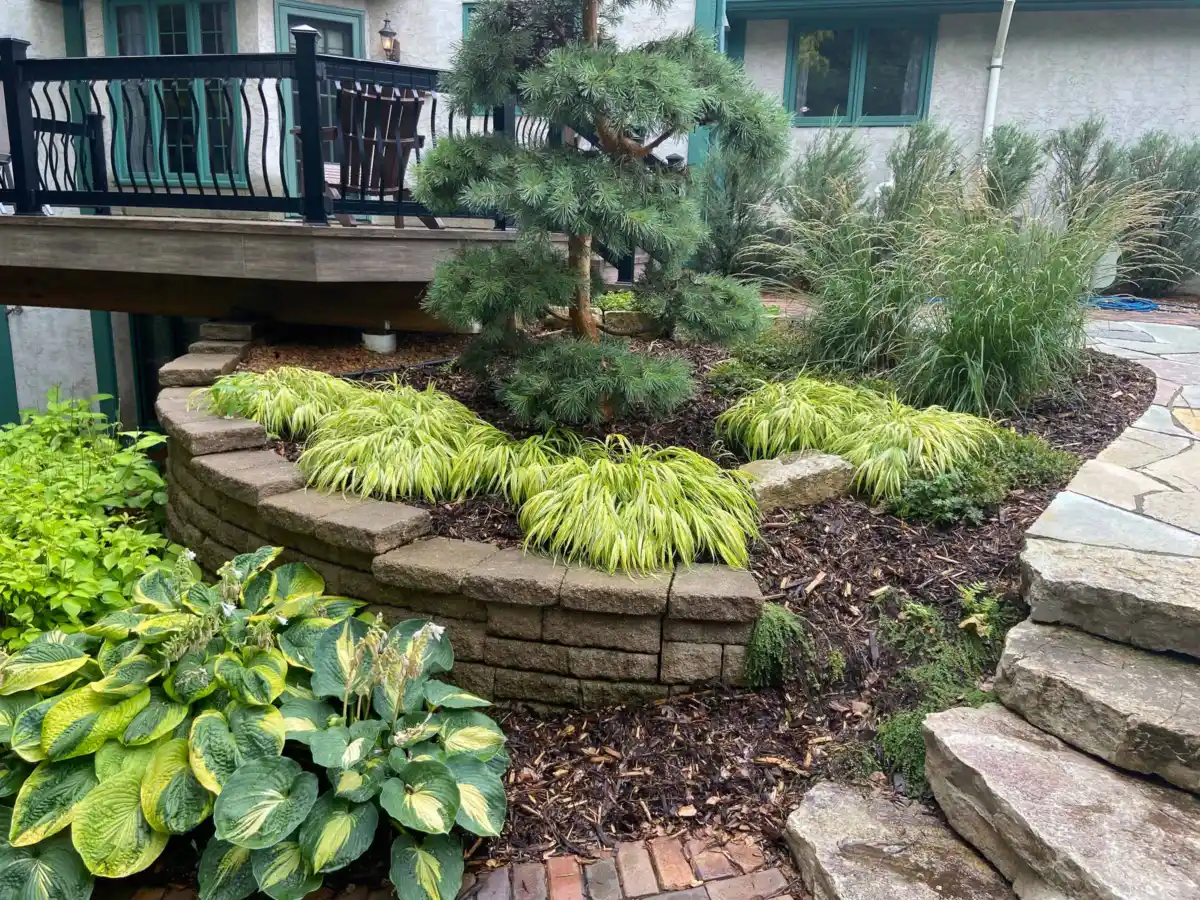Mature, healthy landscape in spring after winter protection