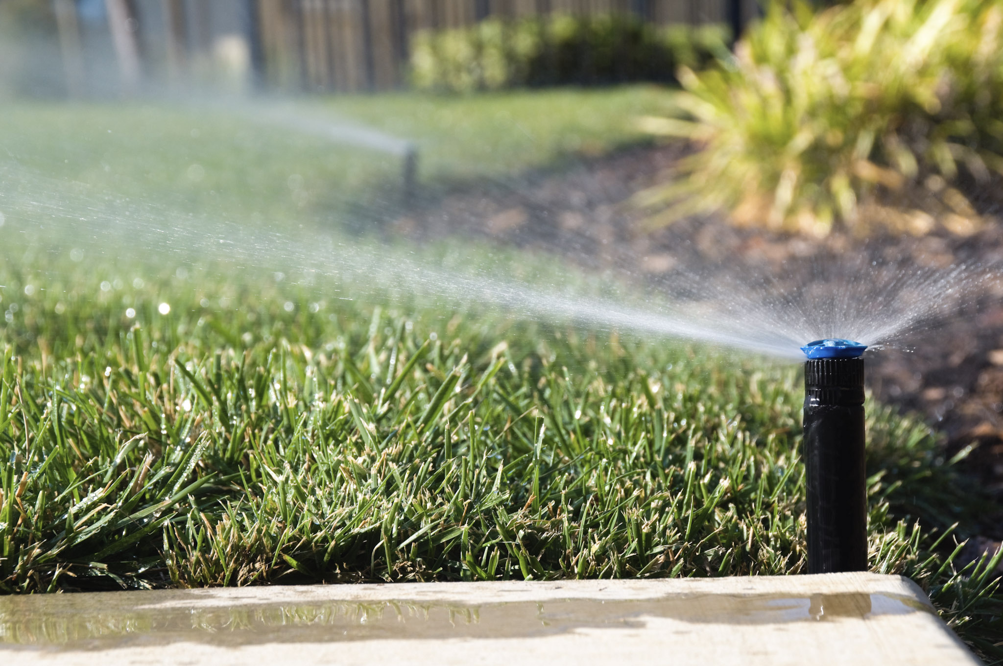 A close-up shot of a black pop-up sprinkler head with a blue nozzle spraying a wide mist of water across a vibrant green lawn. The sprinkler is positioned next to a concrete edge in the foreground, with sunlight catching the fine spray of water.