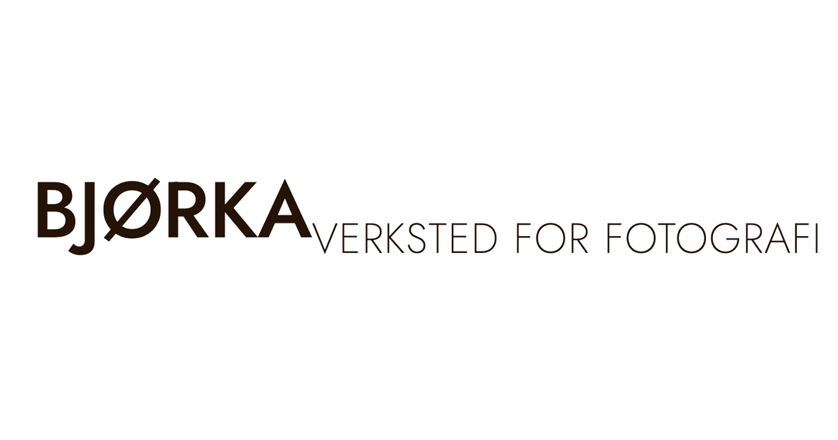 Stiftelsen Bjørka logo