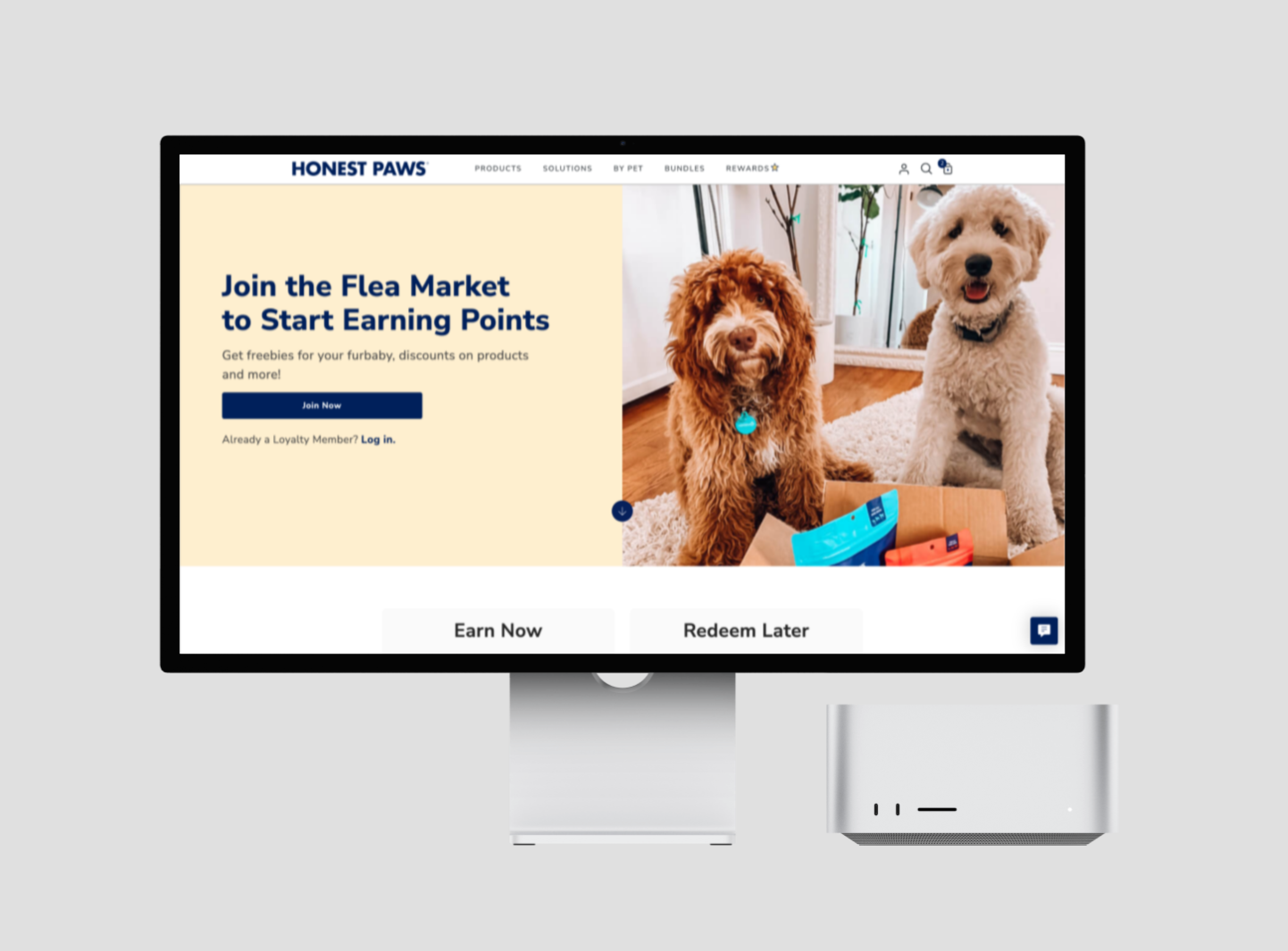 desktop mac computer mockup of honest paws landing page