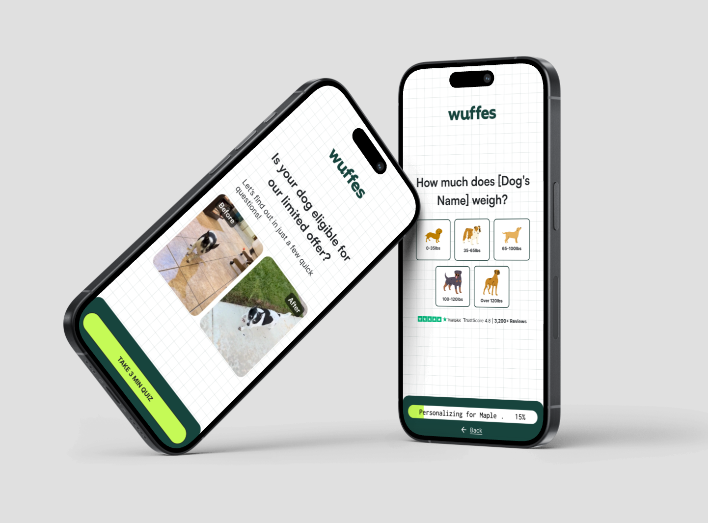 iphone mockup of screenshots of quiz funnel