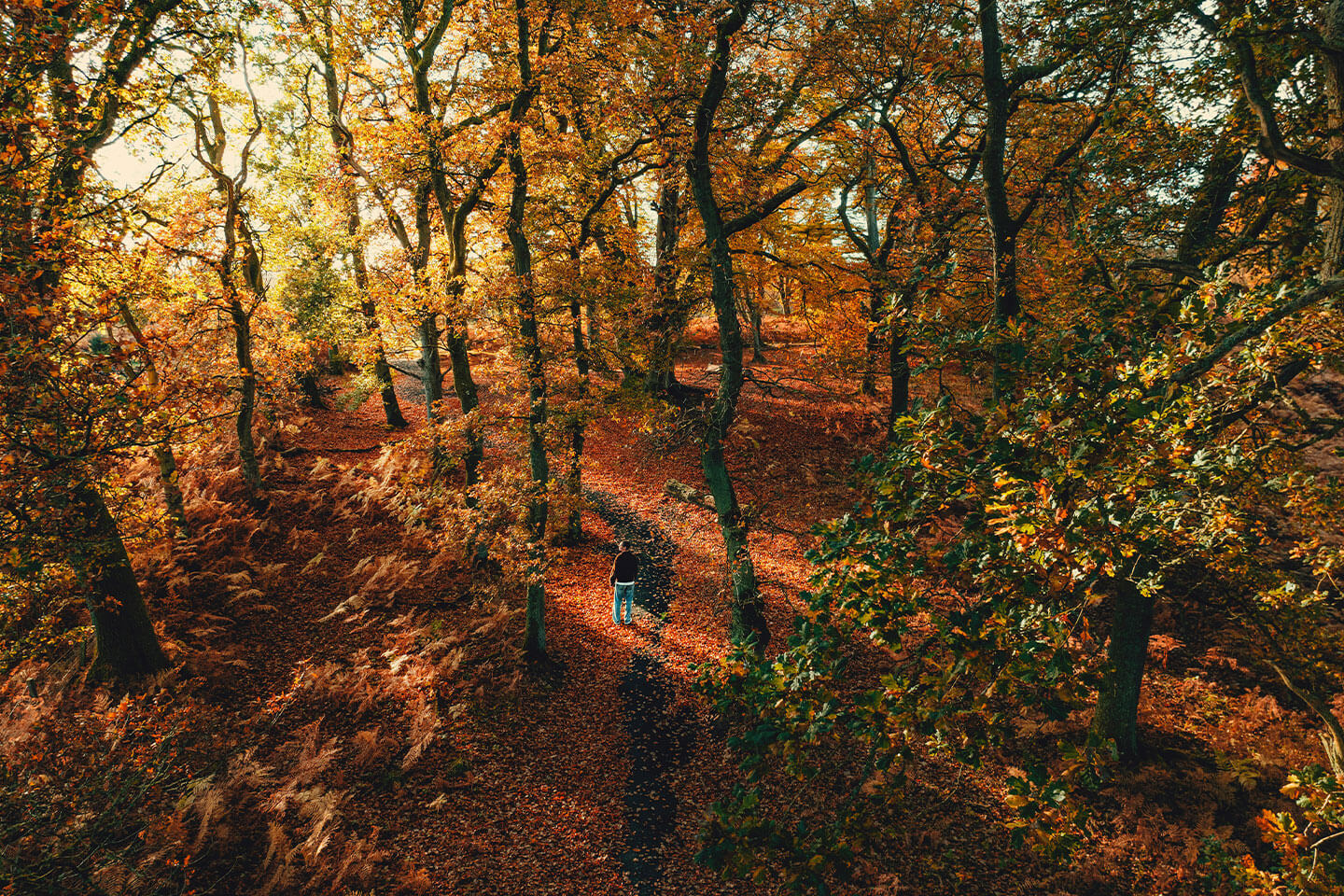 Was der Herbst uns über das Loslassen lehrt – und warum weniger manchmal mehr ist. Entdecke einfache Impulse für mehr Ruhe, Klarheit und bewusste Zeit für dich.