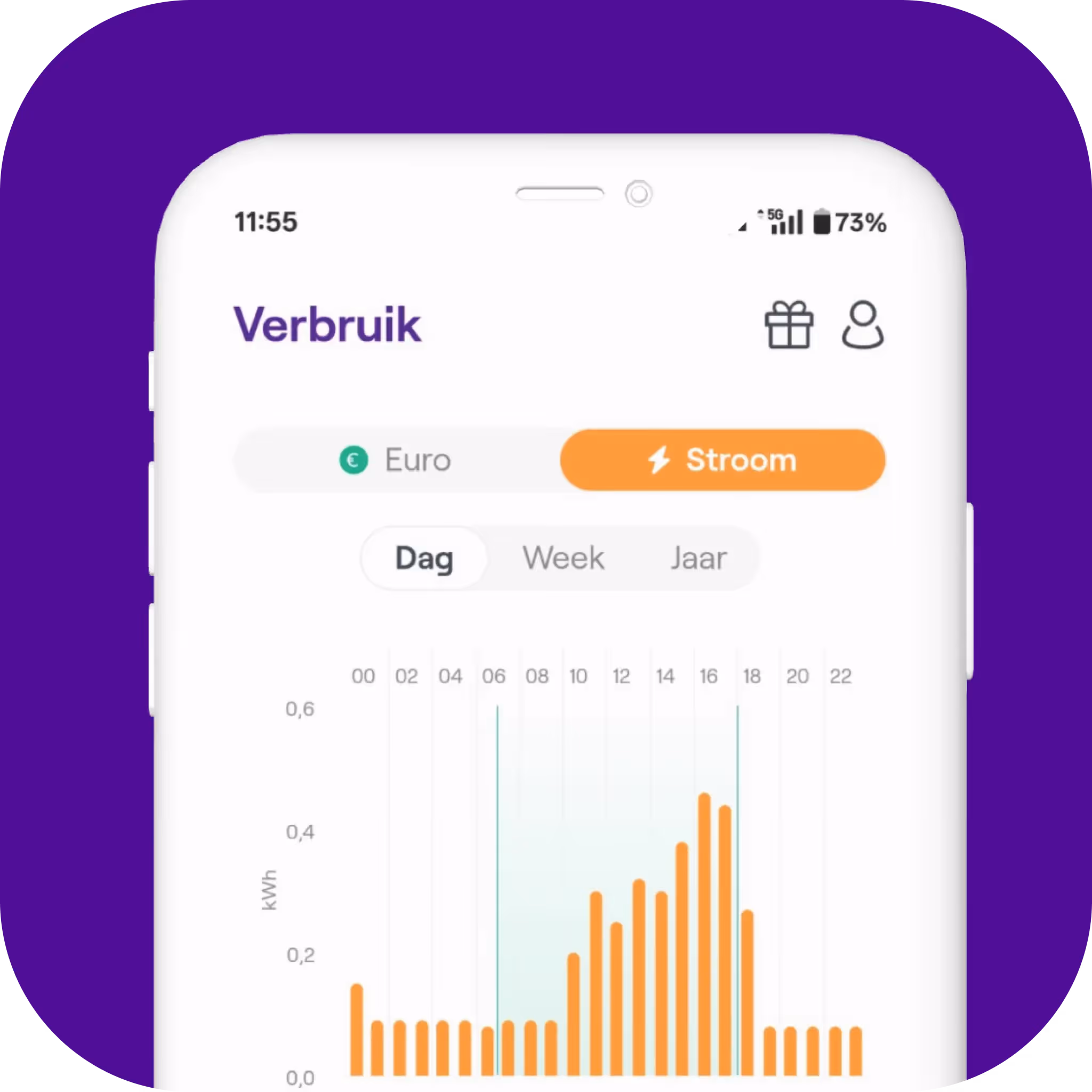 Een screenshot van een app met een staafgrafiek die dagelijks stroomverbruik vertoont.