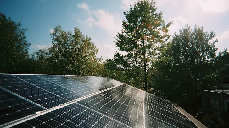 Zonnepanelen met op de achtergrond bomen.