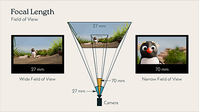 Camera focal length examples