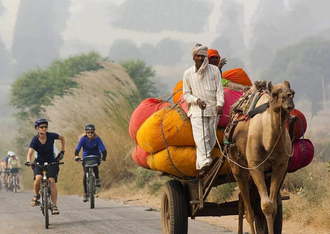 Pedaling Through Rajasthan: A Cycling Adventure