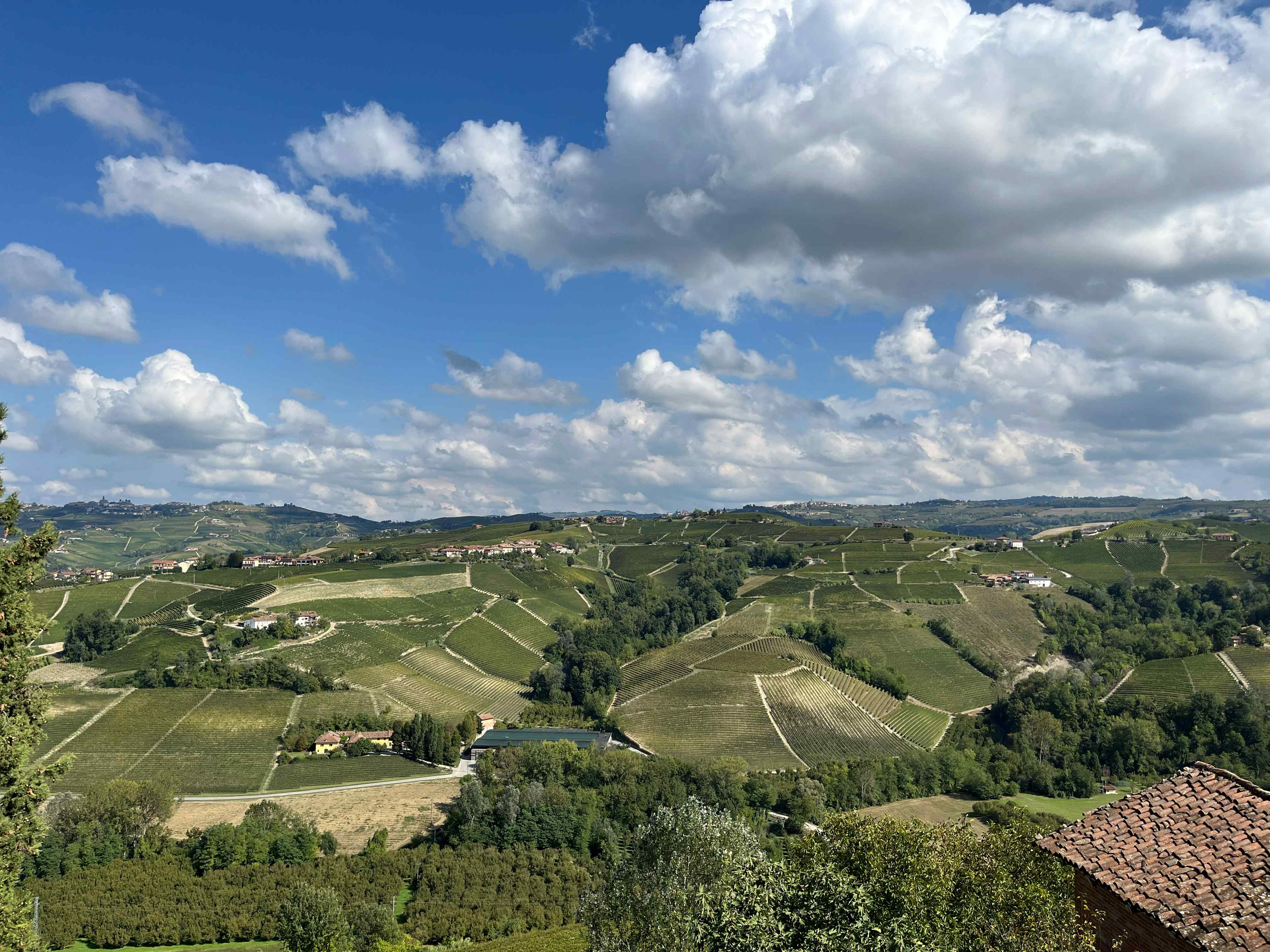 Explore the amazing (and delicious) world of wine culture with Travel and Barrel