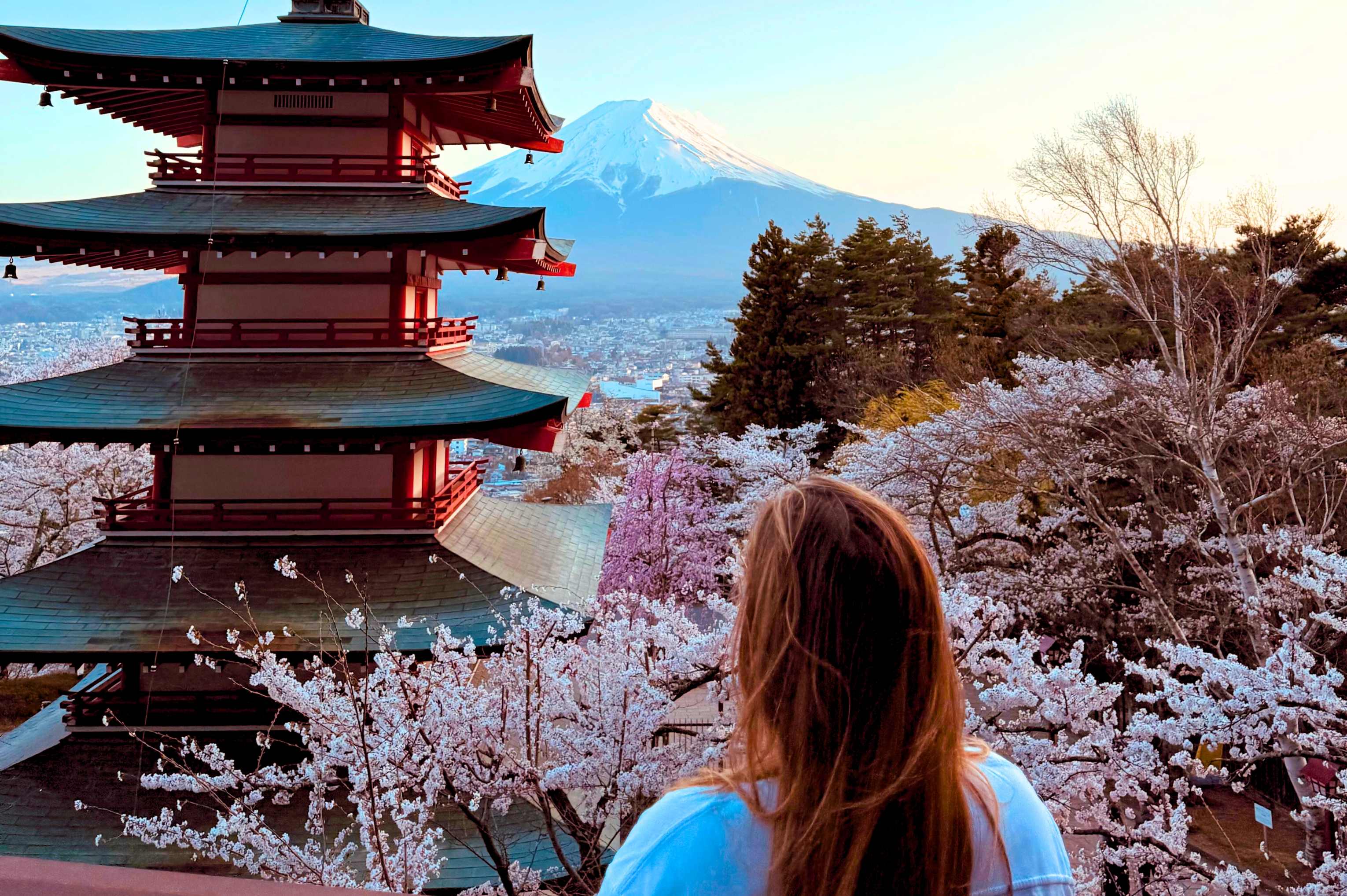 Op onvergetelijke rondreis door Japan