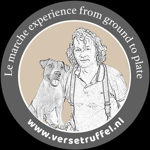 LE MARCHE EXPERIENCE FROM GROUND TO PLATE