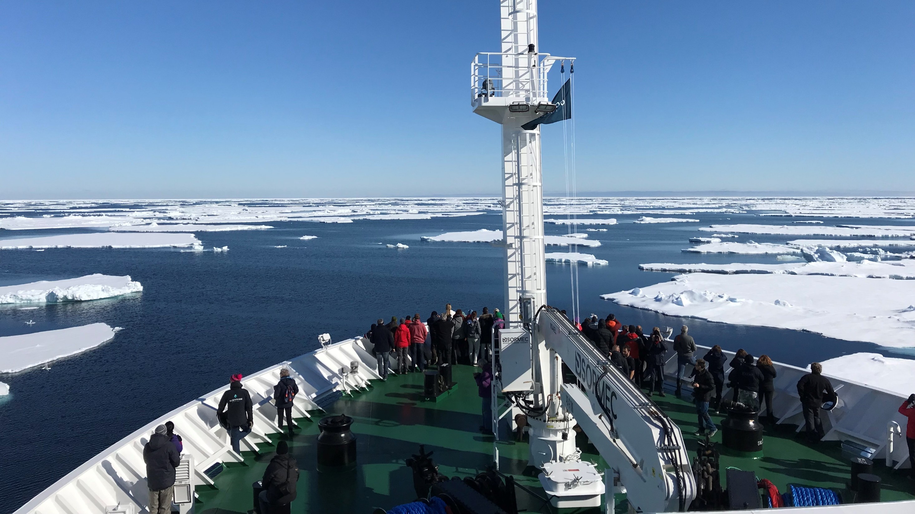 Expeditiecruise Vlissingen-Spitsbergen - Zeevogels, dolfijnen & walvissen