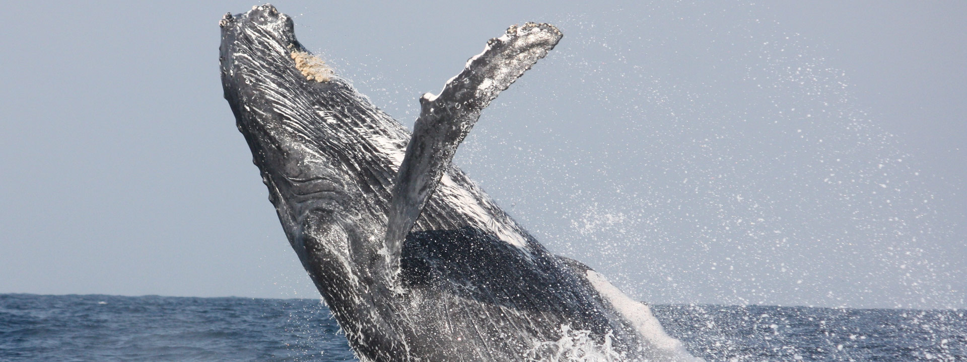 Unieke Exclusive Groepsreis Mozambique 2026