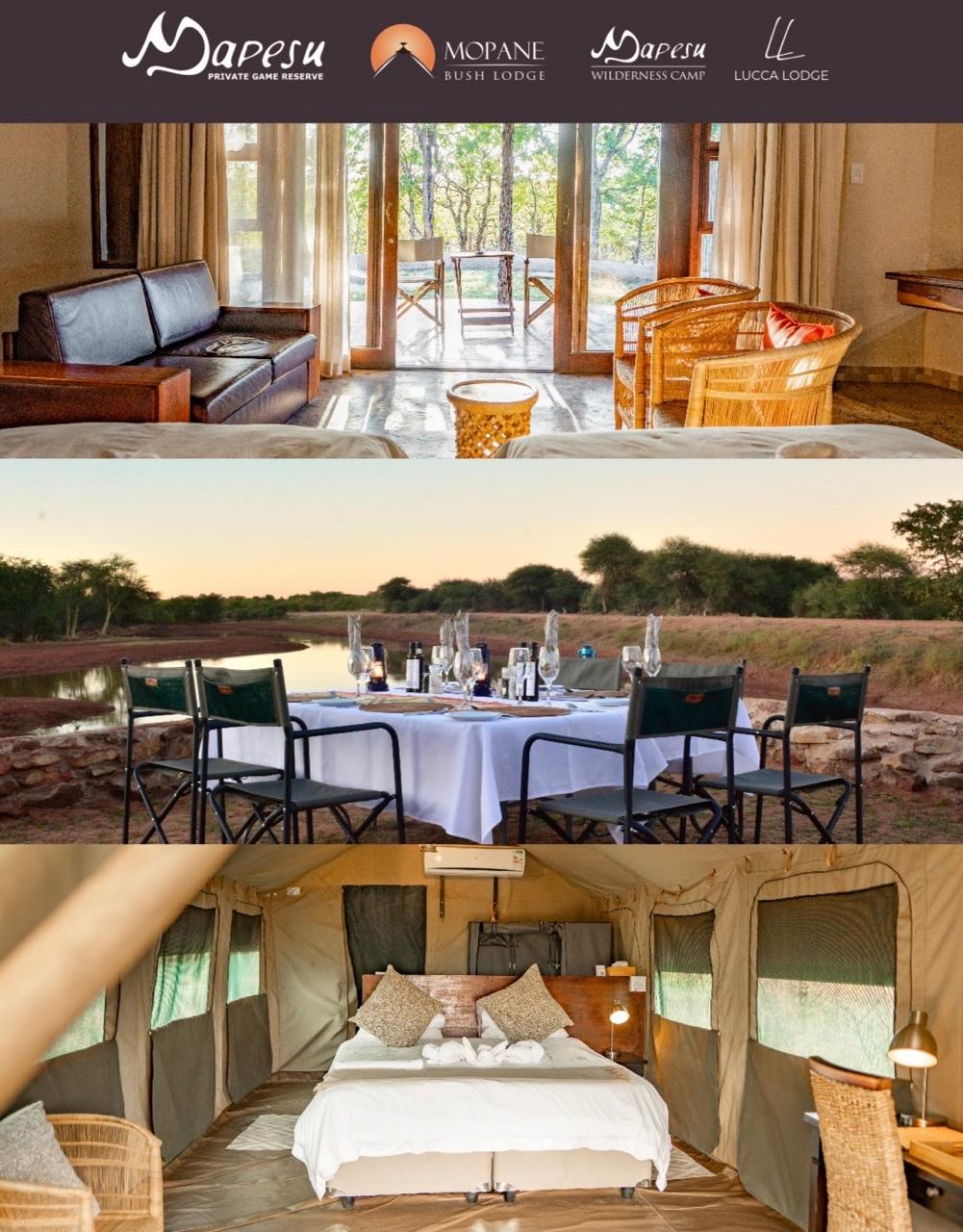 UNTAMED MAPESU PRIVATE GAME RESERVE – De Big Five, natuurbehoud en UNESCO-werelderfgoed.