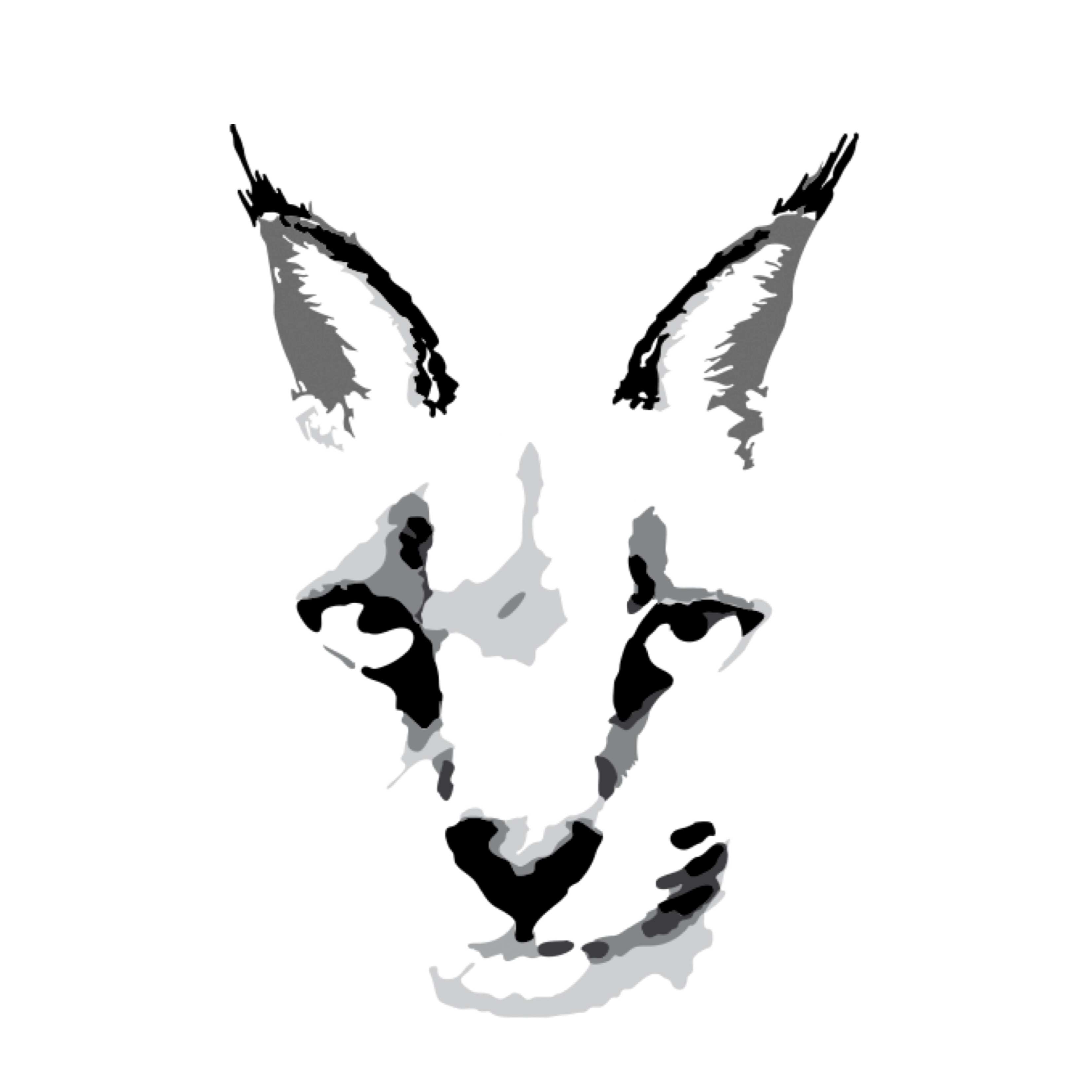 Caracal Tours & Safaris Tanzania