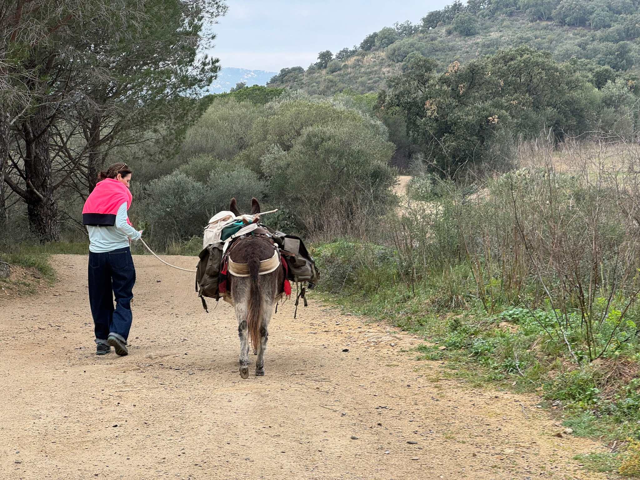 Frankrijk en Noord-Spanje per trein (15 dagen)