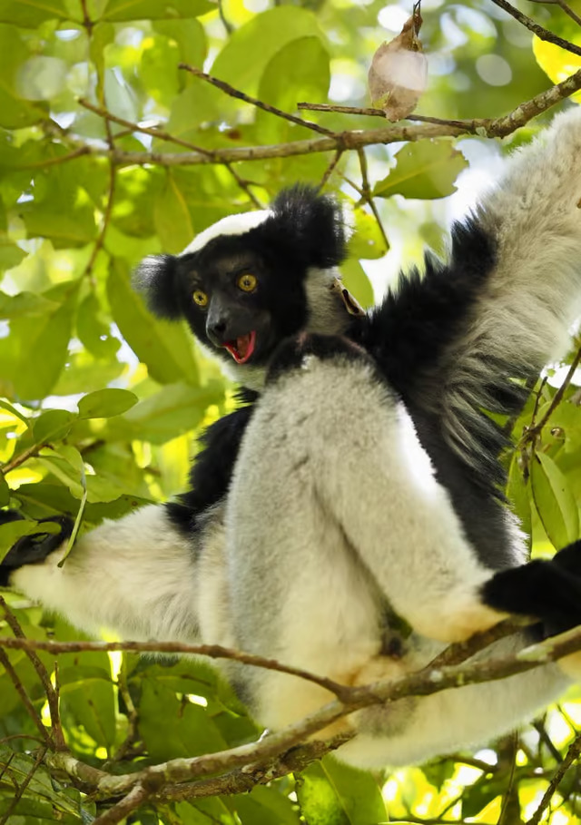 MADAGASKAR met Bandro Reisen – Ervaar Madagaskar in plaats van er alleen maar doorheen te reizen!