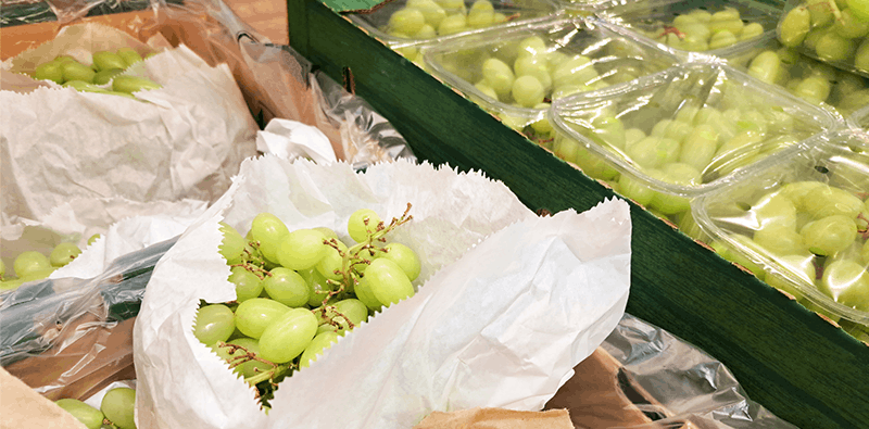 Finding the Right Mix: Sustainable Packaging Solutions for Your Operation