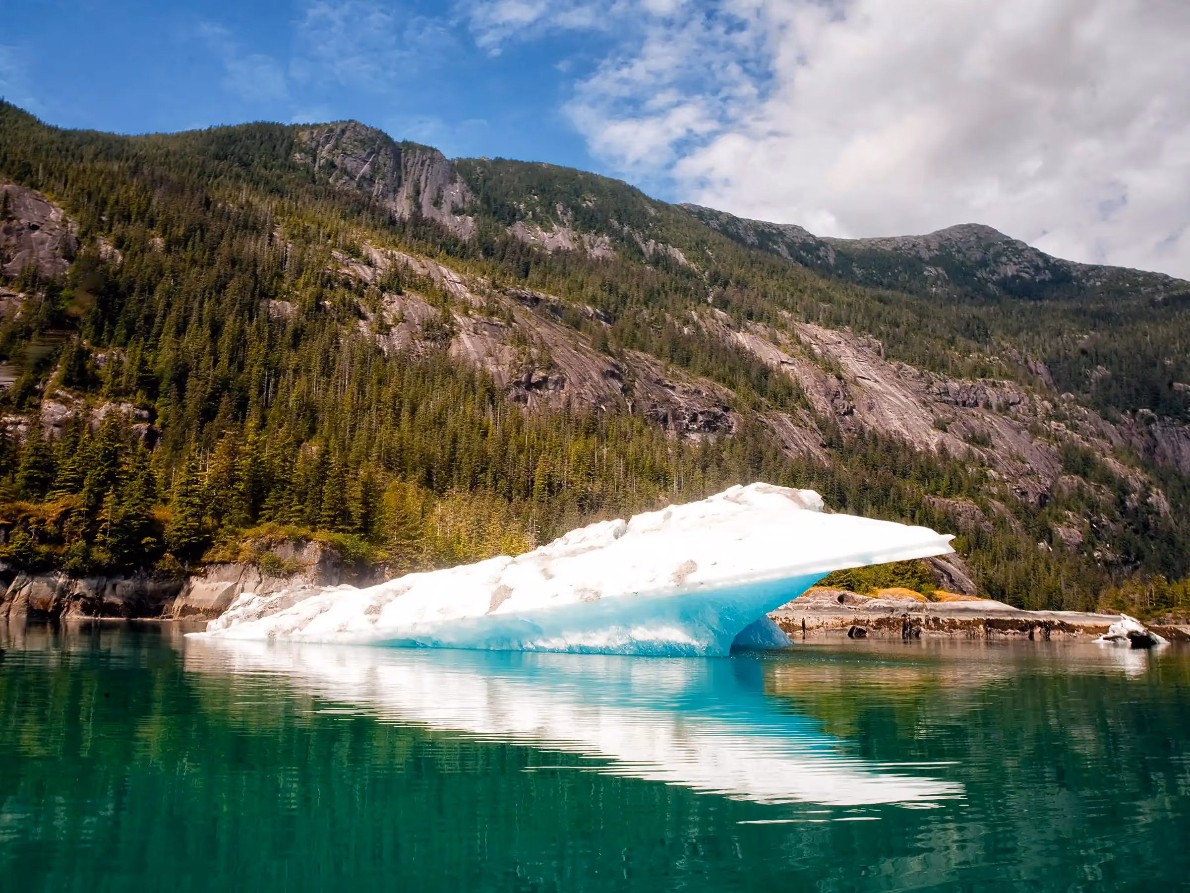 Alaska Wilderness Charters—Fjords and Waterfalls—John Schnell Photography