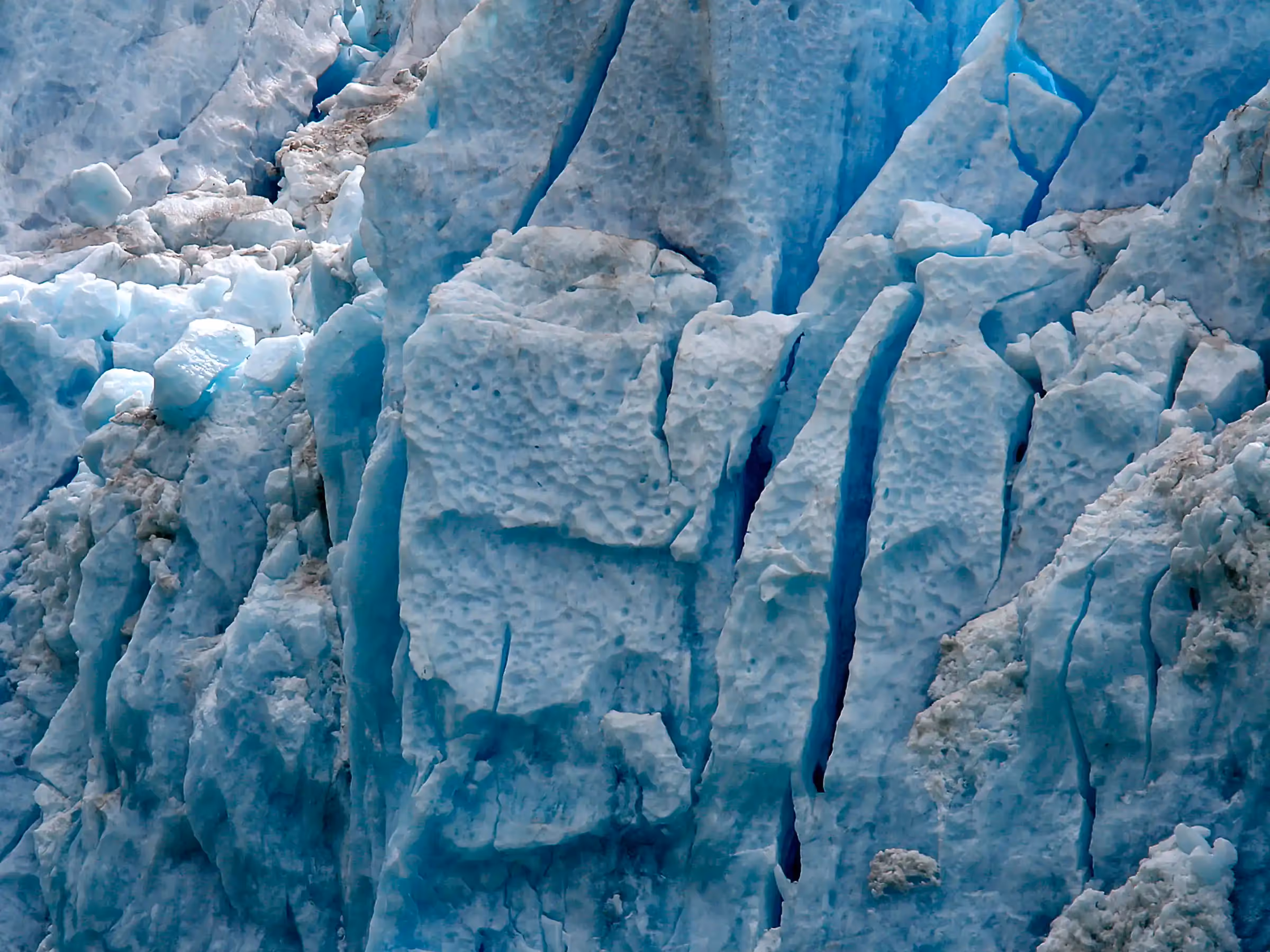 Alaska Wilderness Charters—Glaciers and Icebergs—John Schnell Photography