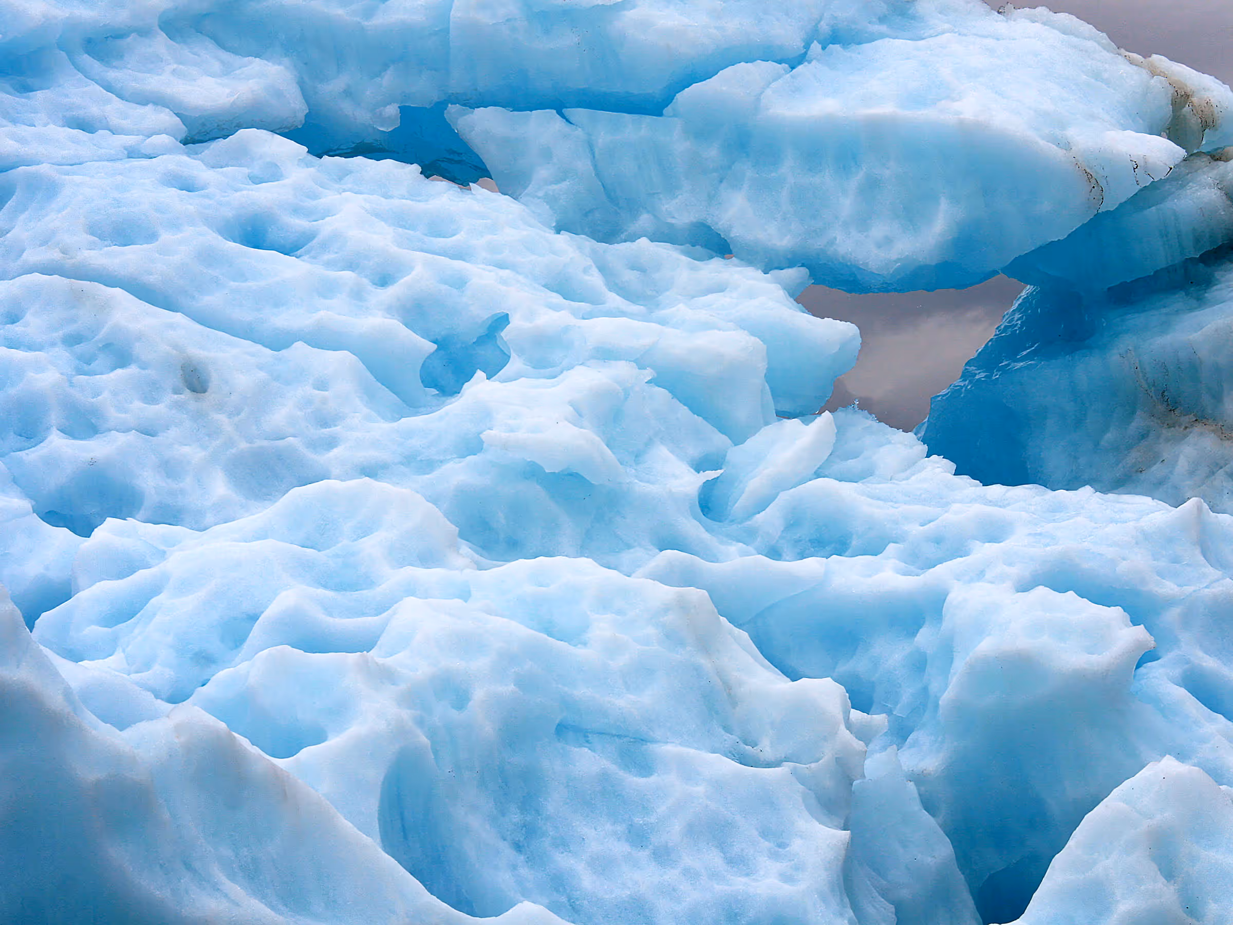 Alaska Wilderness Charters—Icebergs—John Schnell Photography
