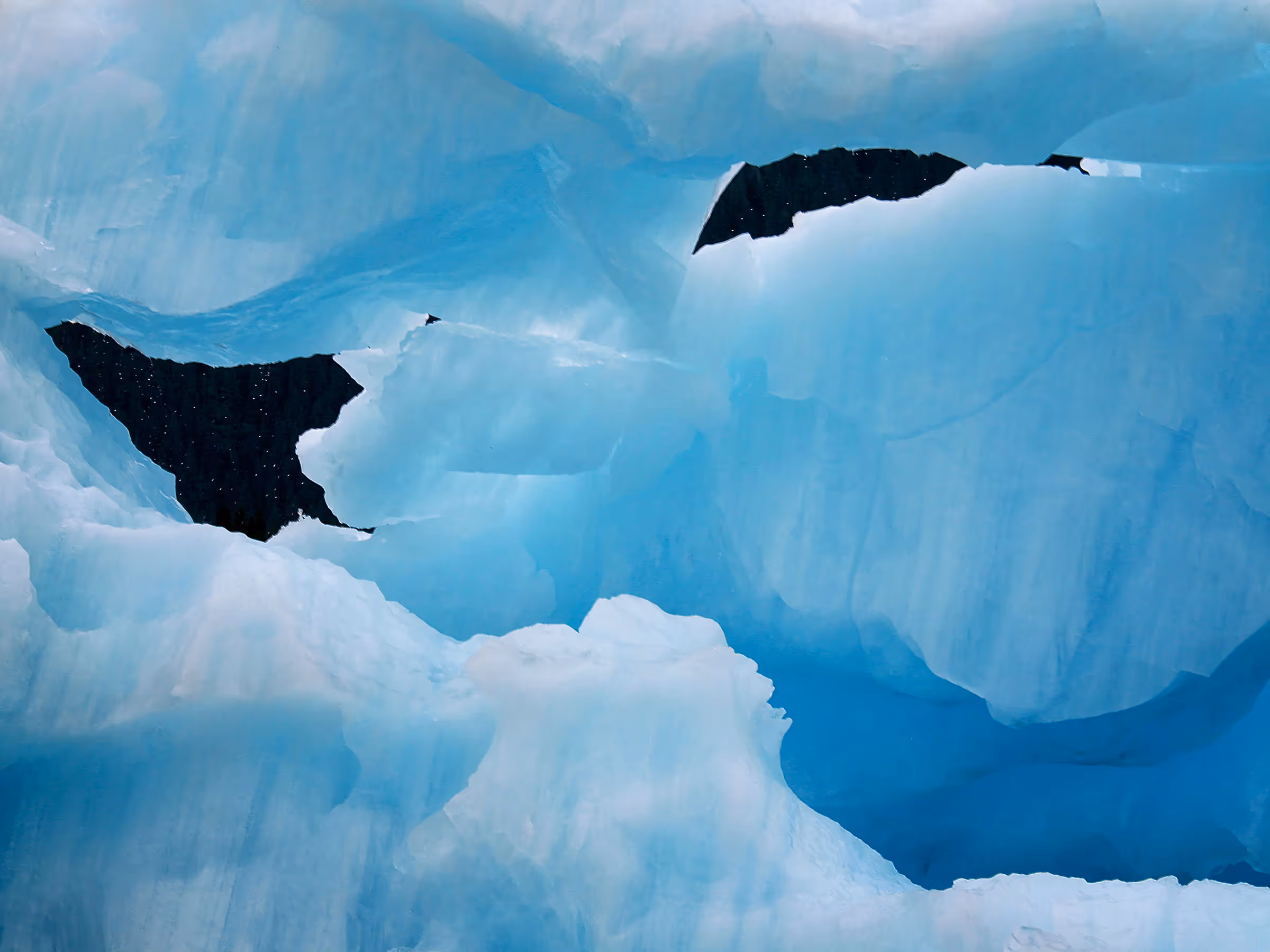 Alaska Wilderness Charters—Icebergs—John Schnell Photography