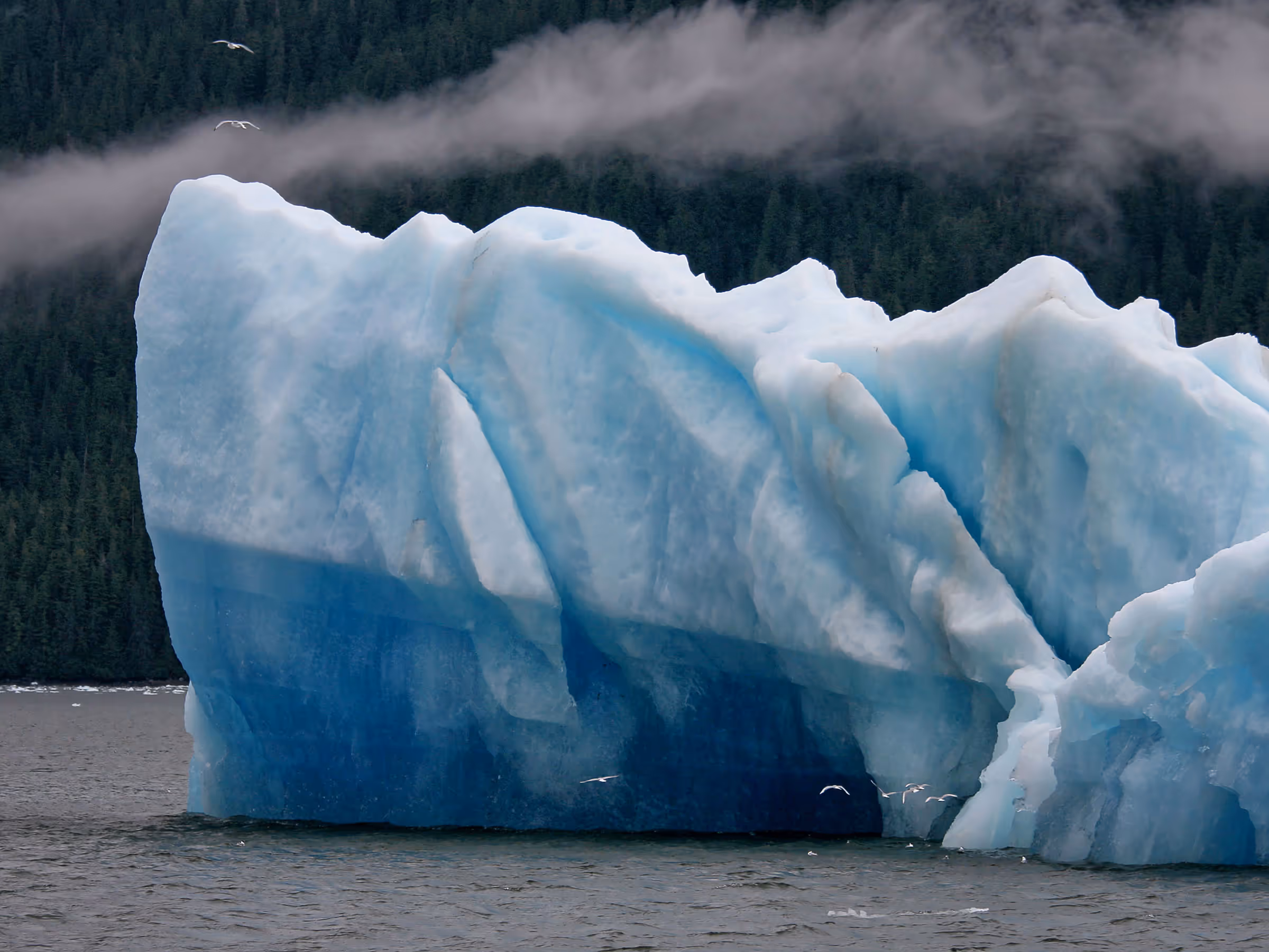 Alaska Wilderness Charters—Icebergs—John Schnell Photography