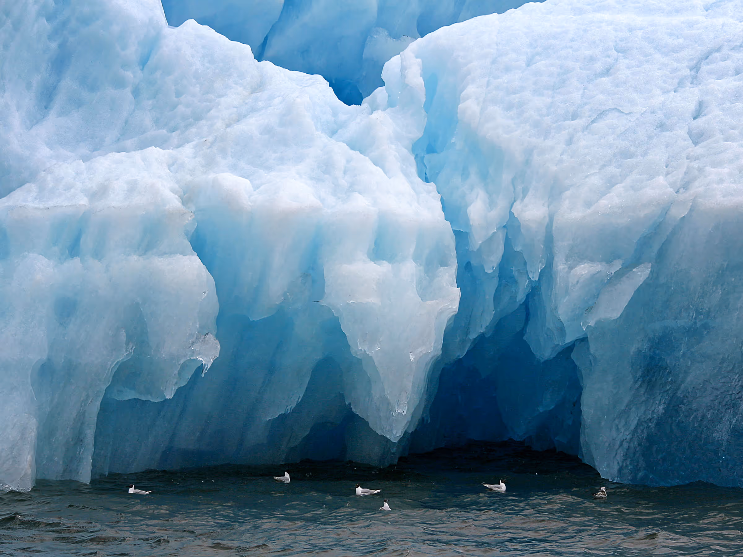 Alaska Wilderness Charters—Icebergs—John Schnell Photography