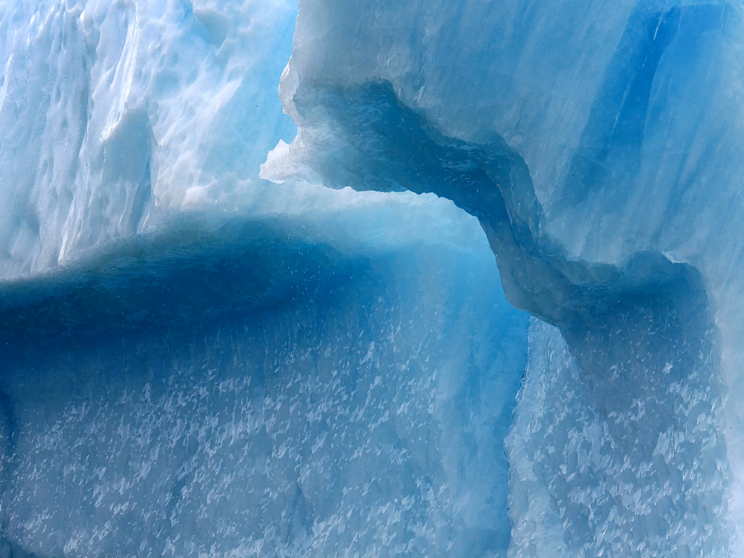 Alaska Wilderness Charters—Icebergs—John Schnell Photography