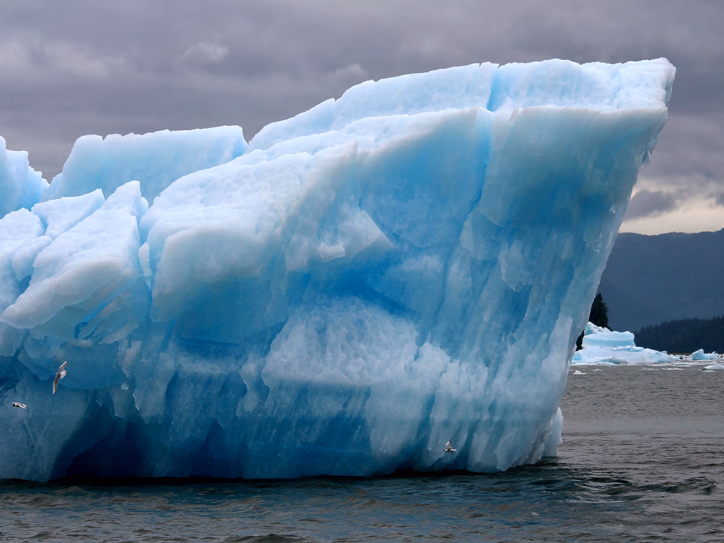 Alaska Wilderness Charters—Icebergs—John Schnell Photography