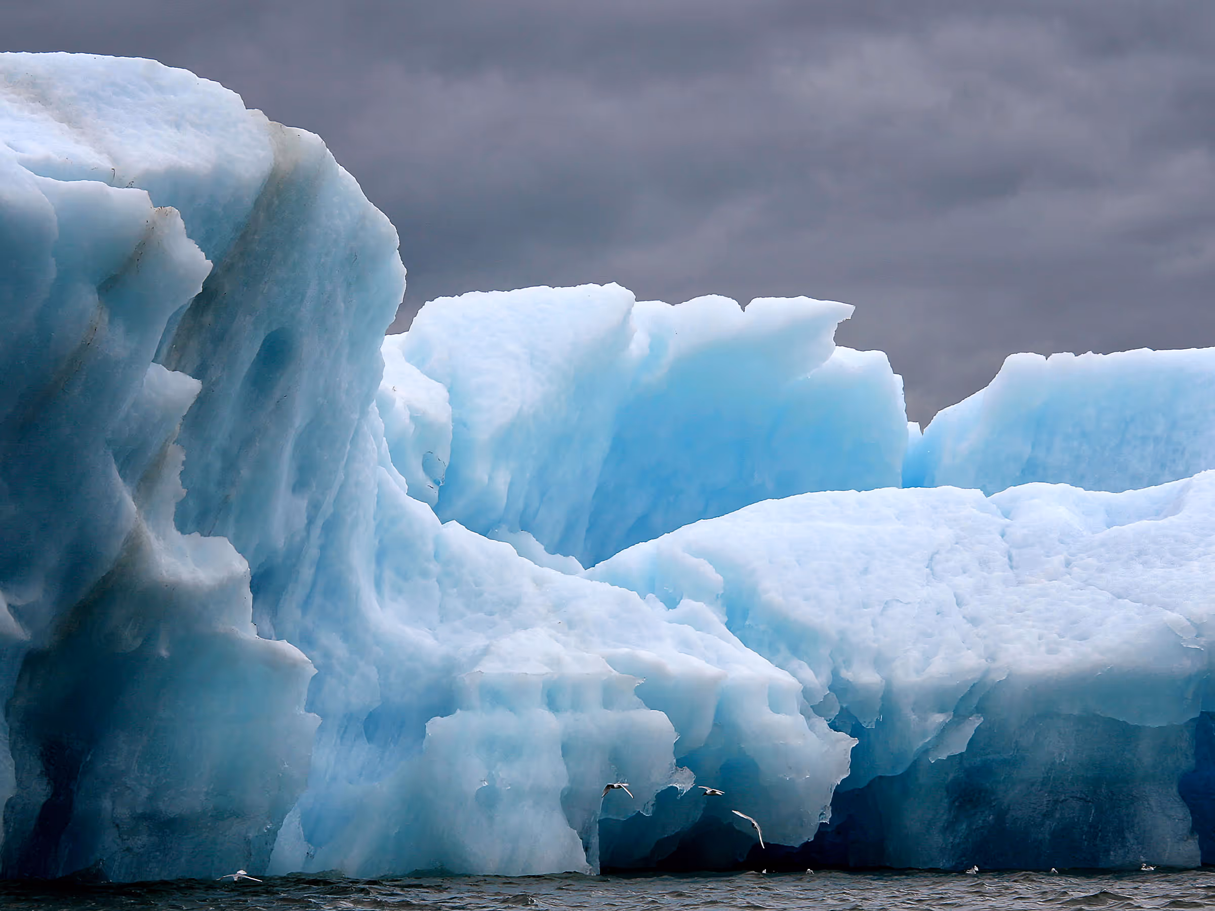 Alaska Wilderness Charters—Icebergs—John Schnell Photography