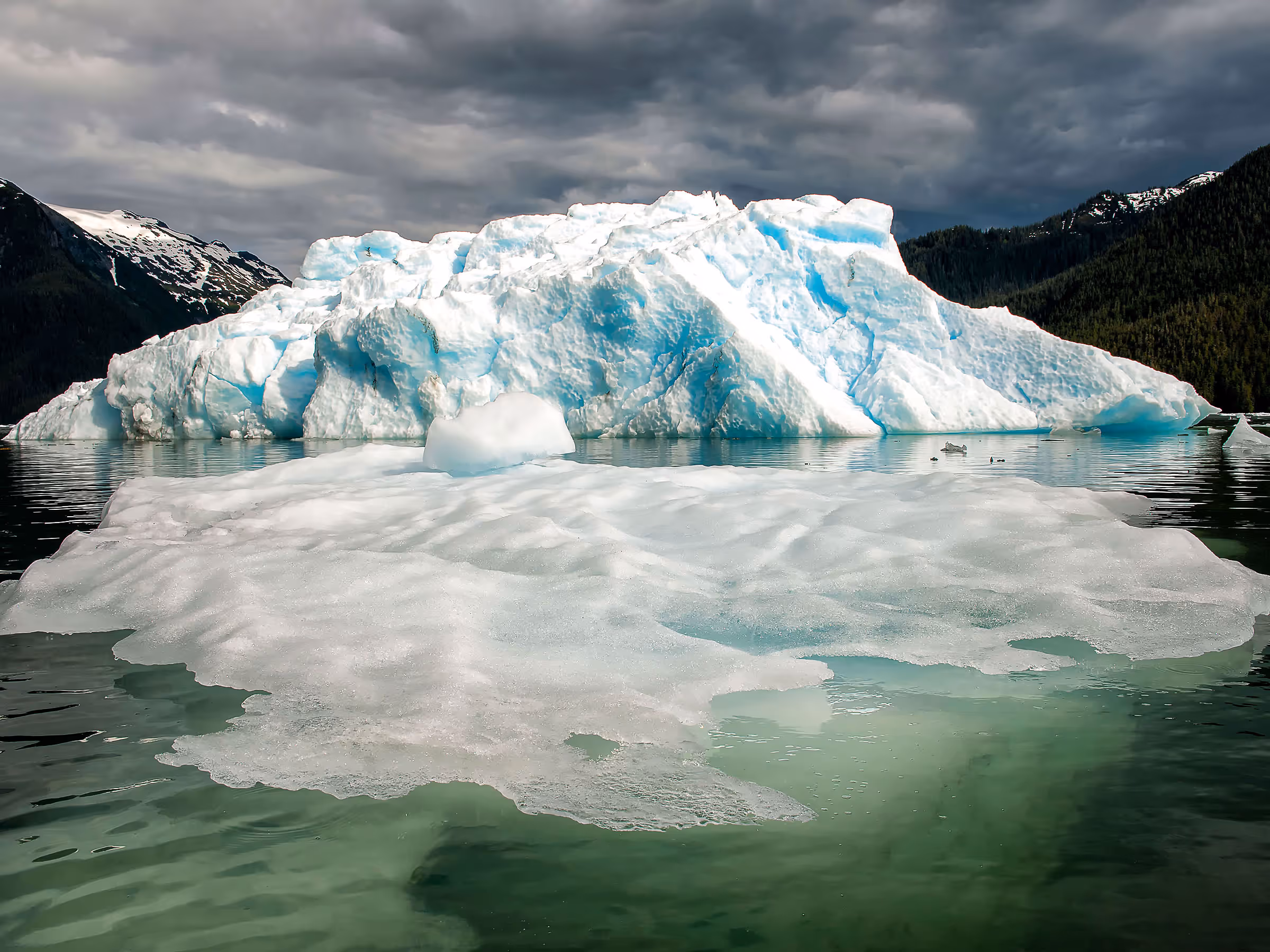 Alaska Wilderness Charters—Icebergs—John Schnell Photography