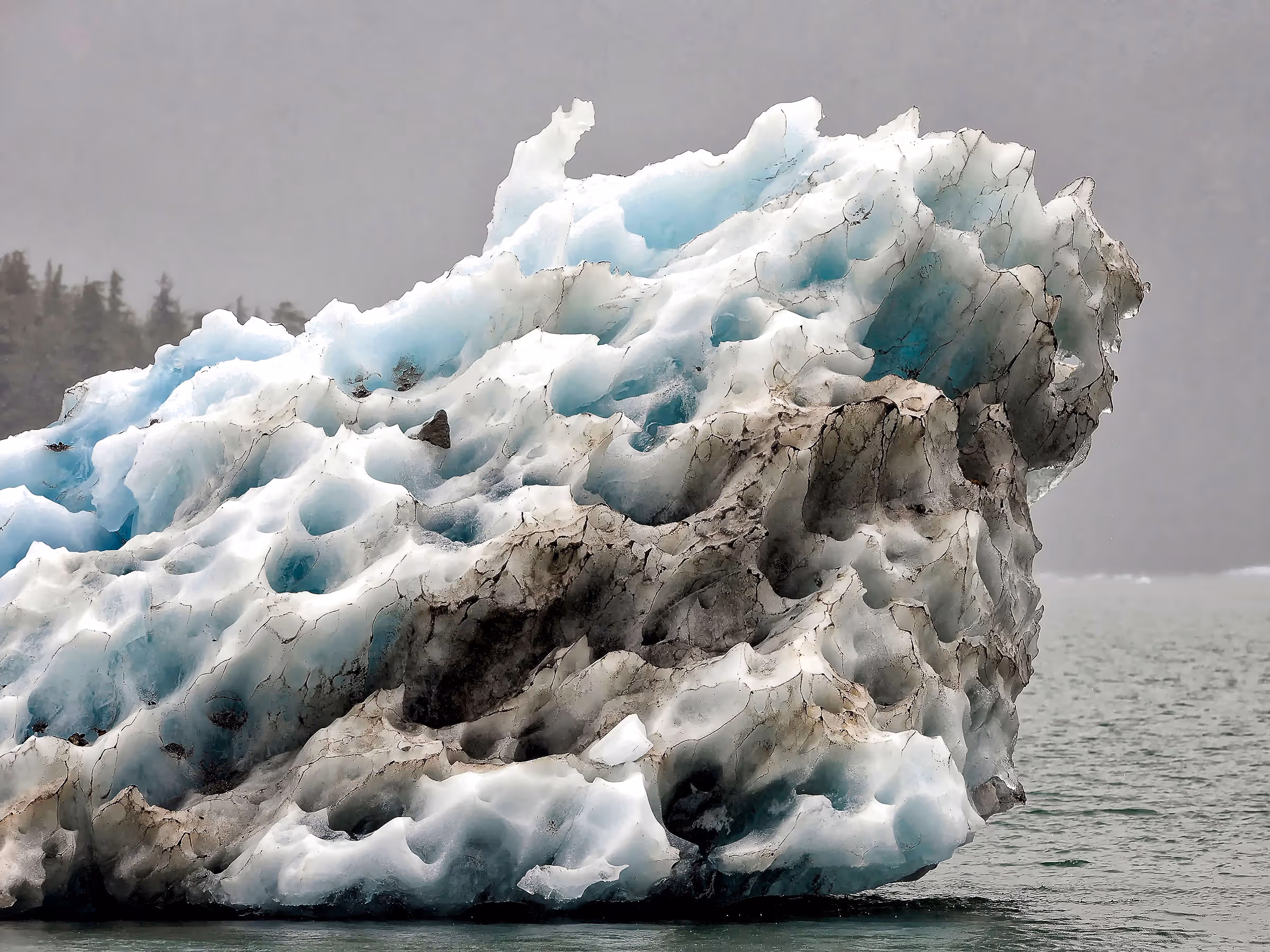 Alaska Wilderness Charters—Icebergs—John Schnell Photography