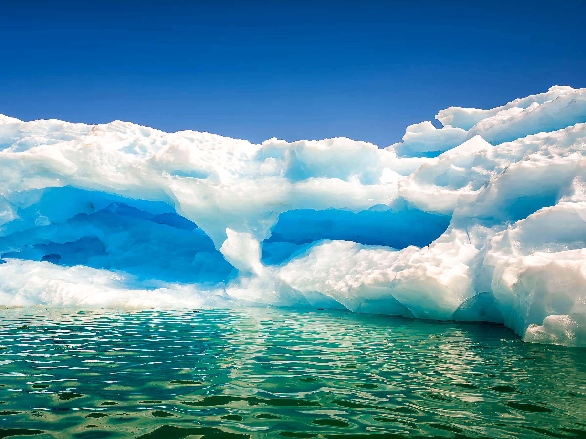 Alaska Wilderness Charters—Icebergs—John Schnell Photography