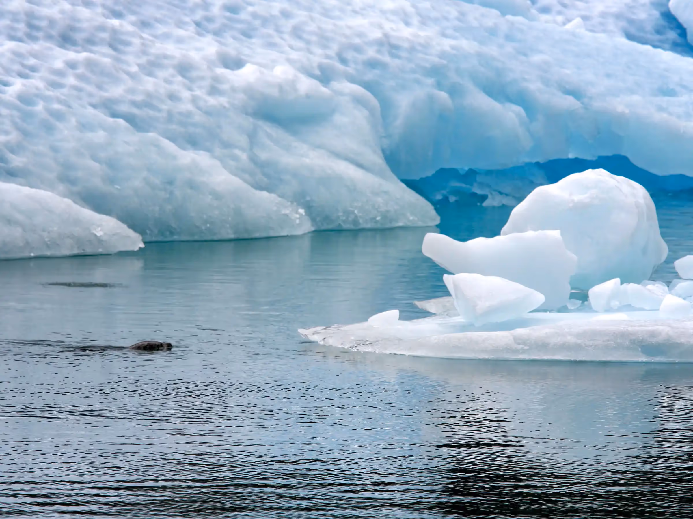 Alaska Wilderness Charters—Dawes Glacier—John Schnell Photography