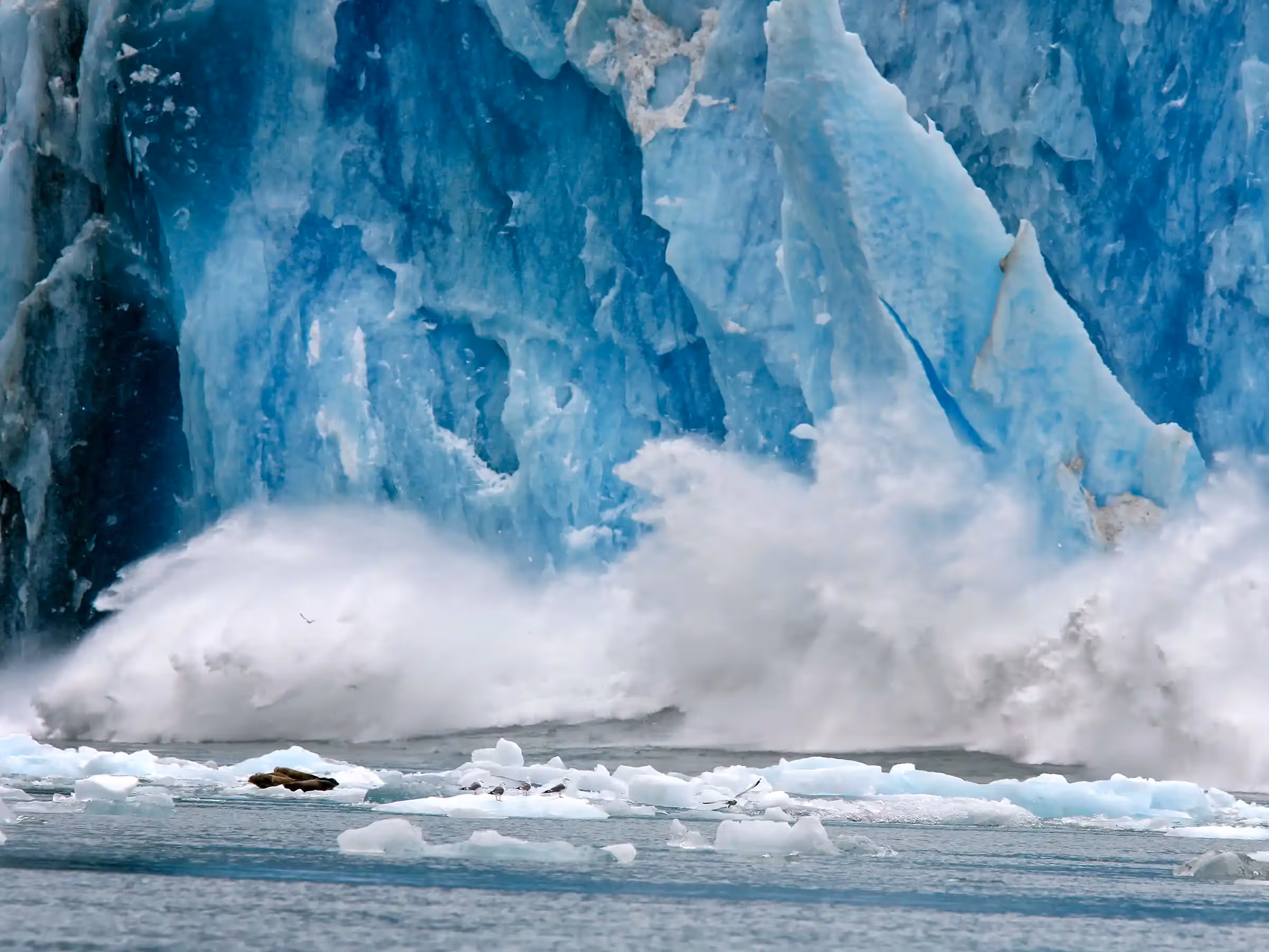 Alaska Wilderness Charters—Dawes Glacier—John Schnell Photography