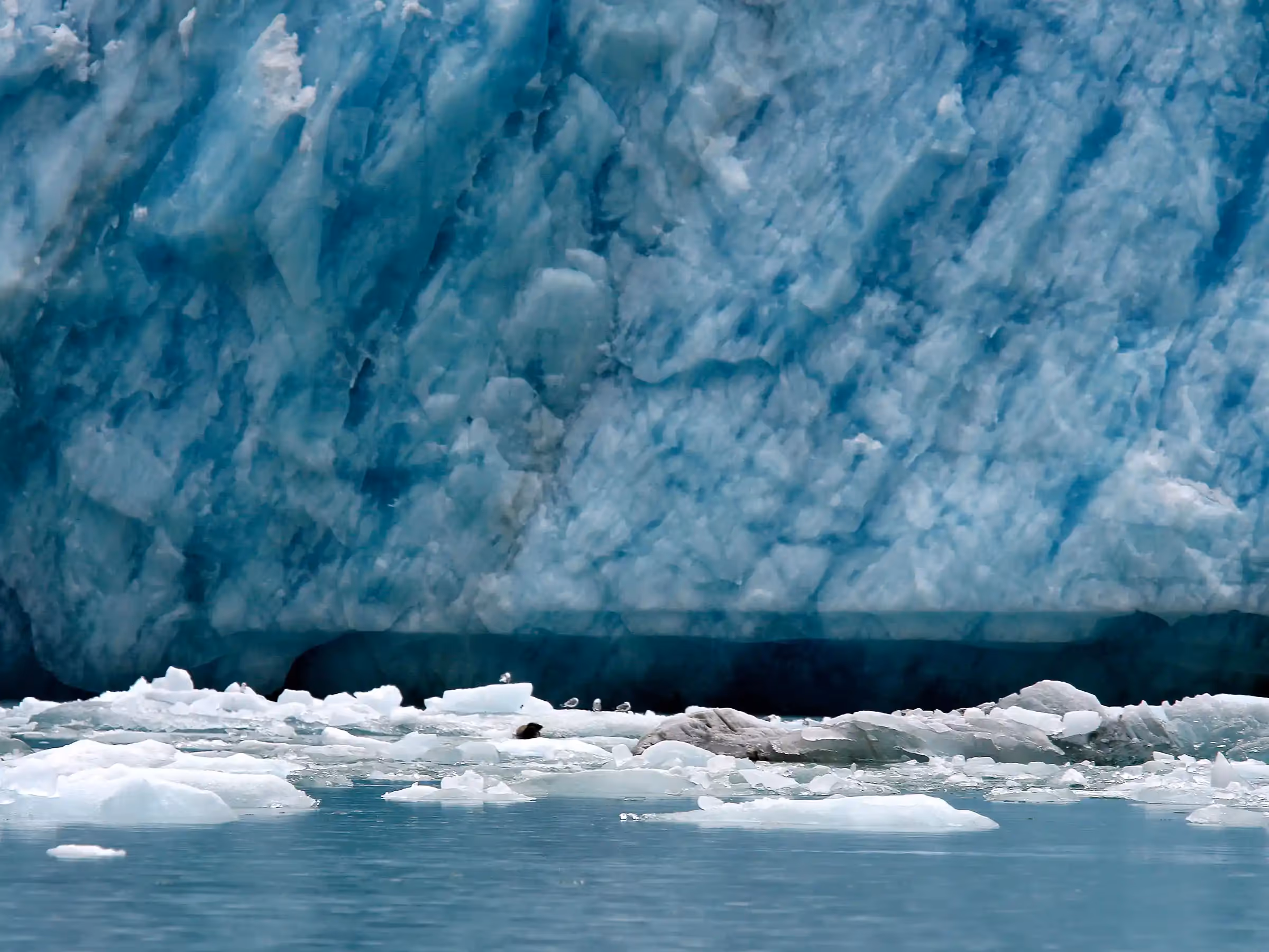 Alaska Wilderness Charters—Dawes Glacier—John Schnell Photography
