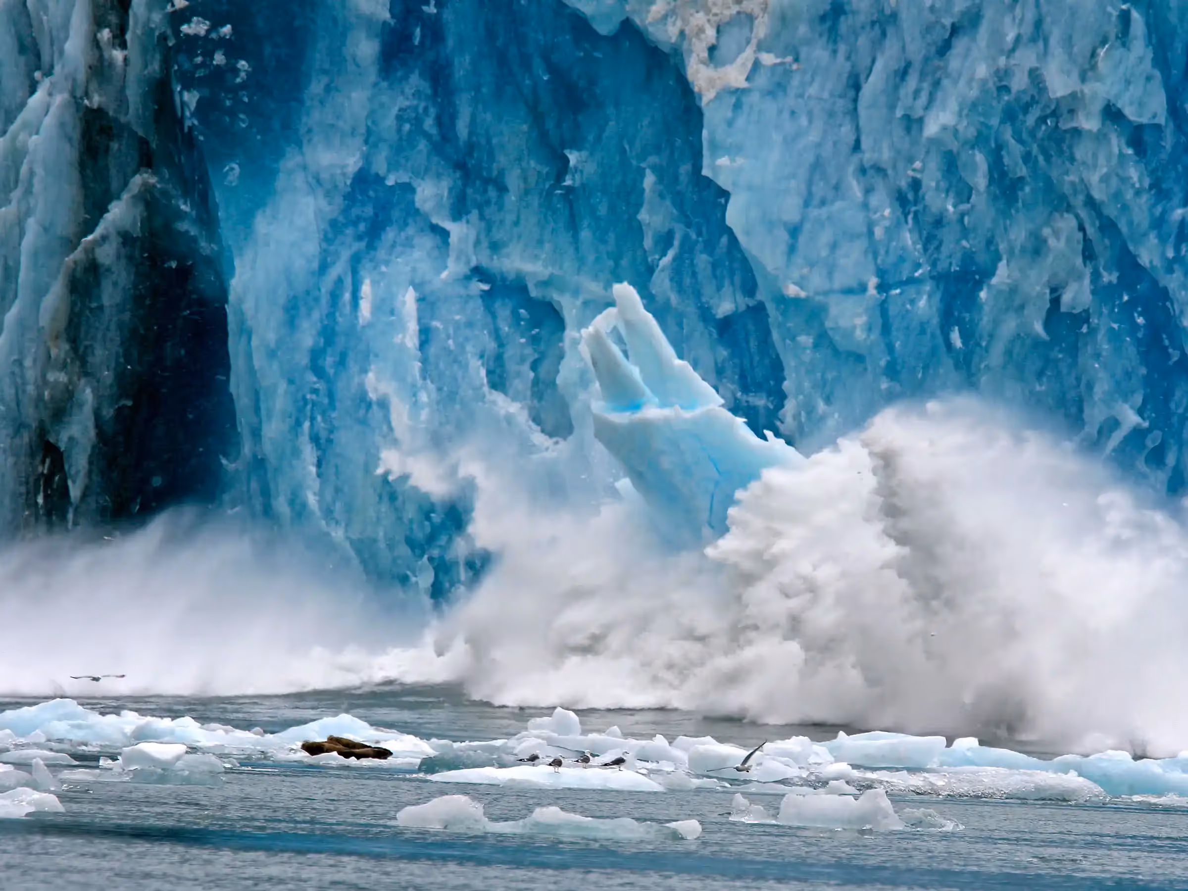 Alaska Wilderness Charters—Dawes Glacier—John Schnell Photography