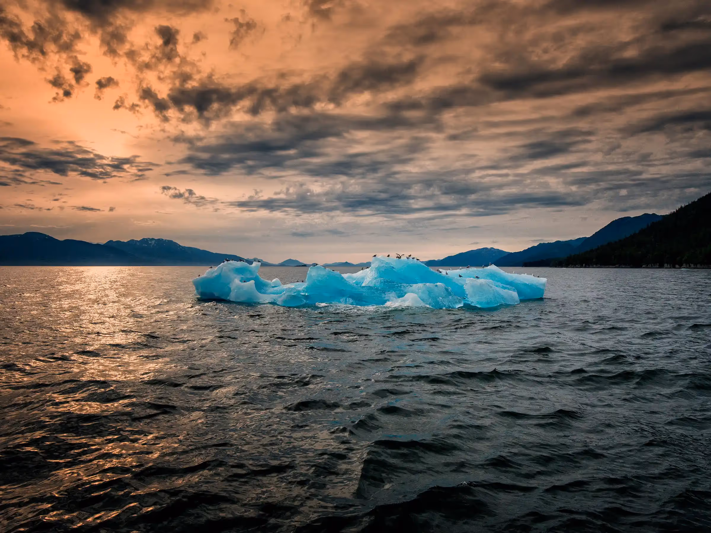 Alaska Wilderness Charters—Endicott Arm—John Schnell Photography