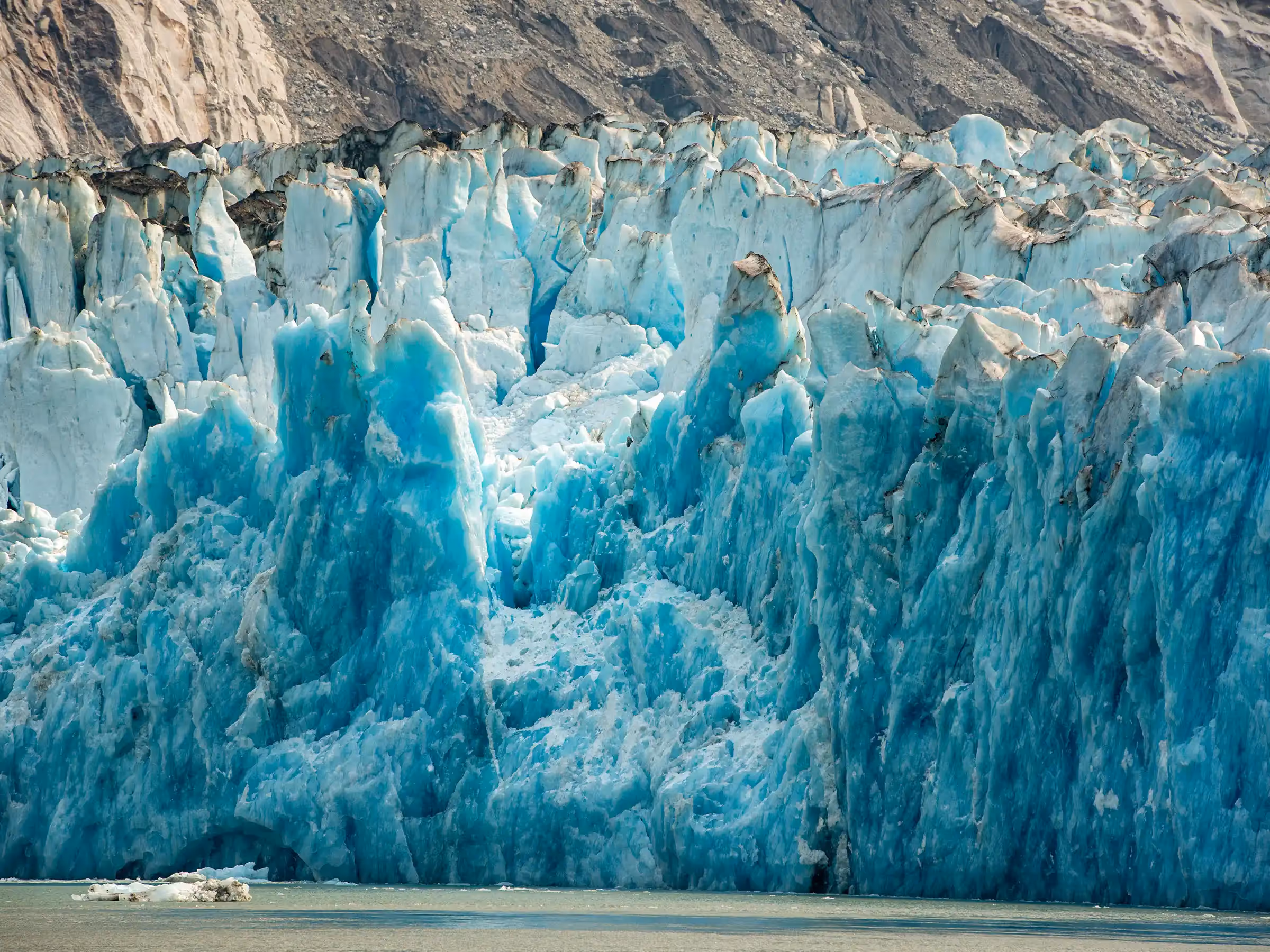 Alaska Wilderness Charters—Endicott Arm—John Schnell Photography