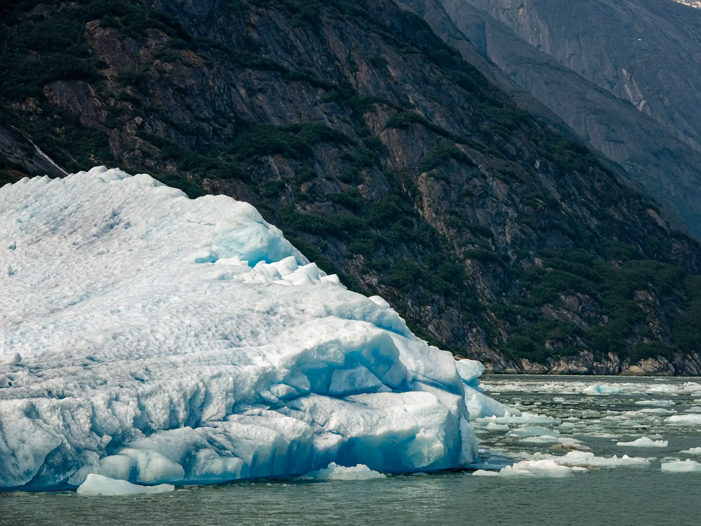 Alaska Wilderness Charters—Endicott Arm—John Schnell Photography