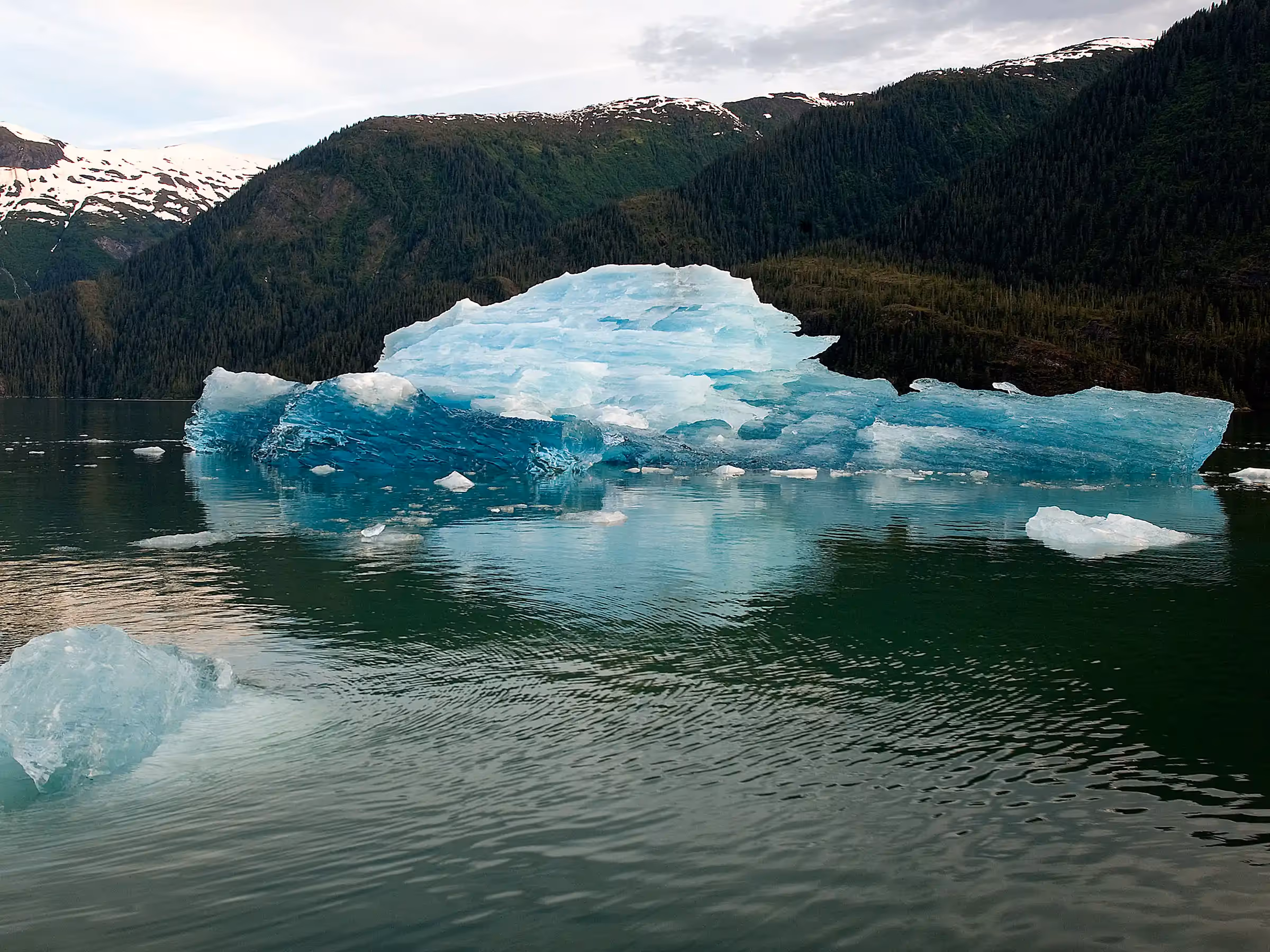 Alaska Wilderness Charters—Endicott Arm—John Schnell Photography