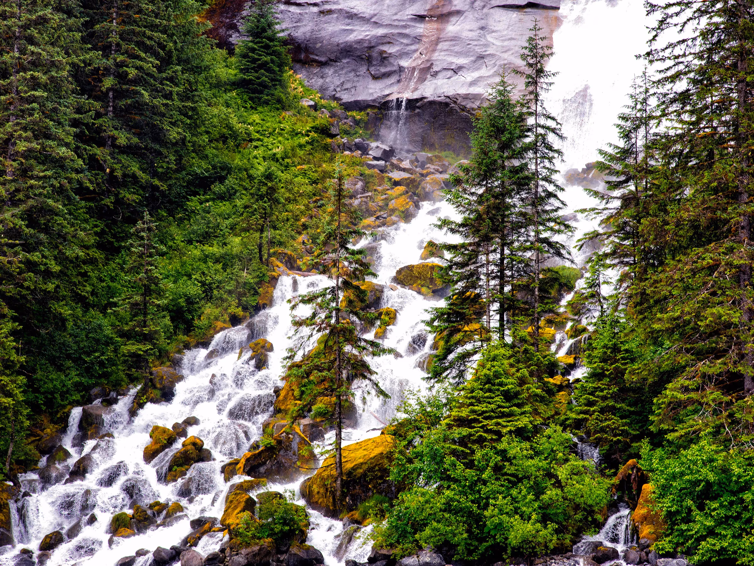 Alaska Wilderness Charters—Ford’s Terror Wilderness—John Schnell Photography