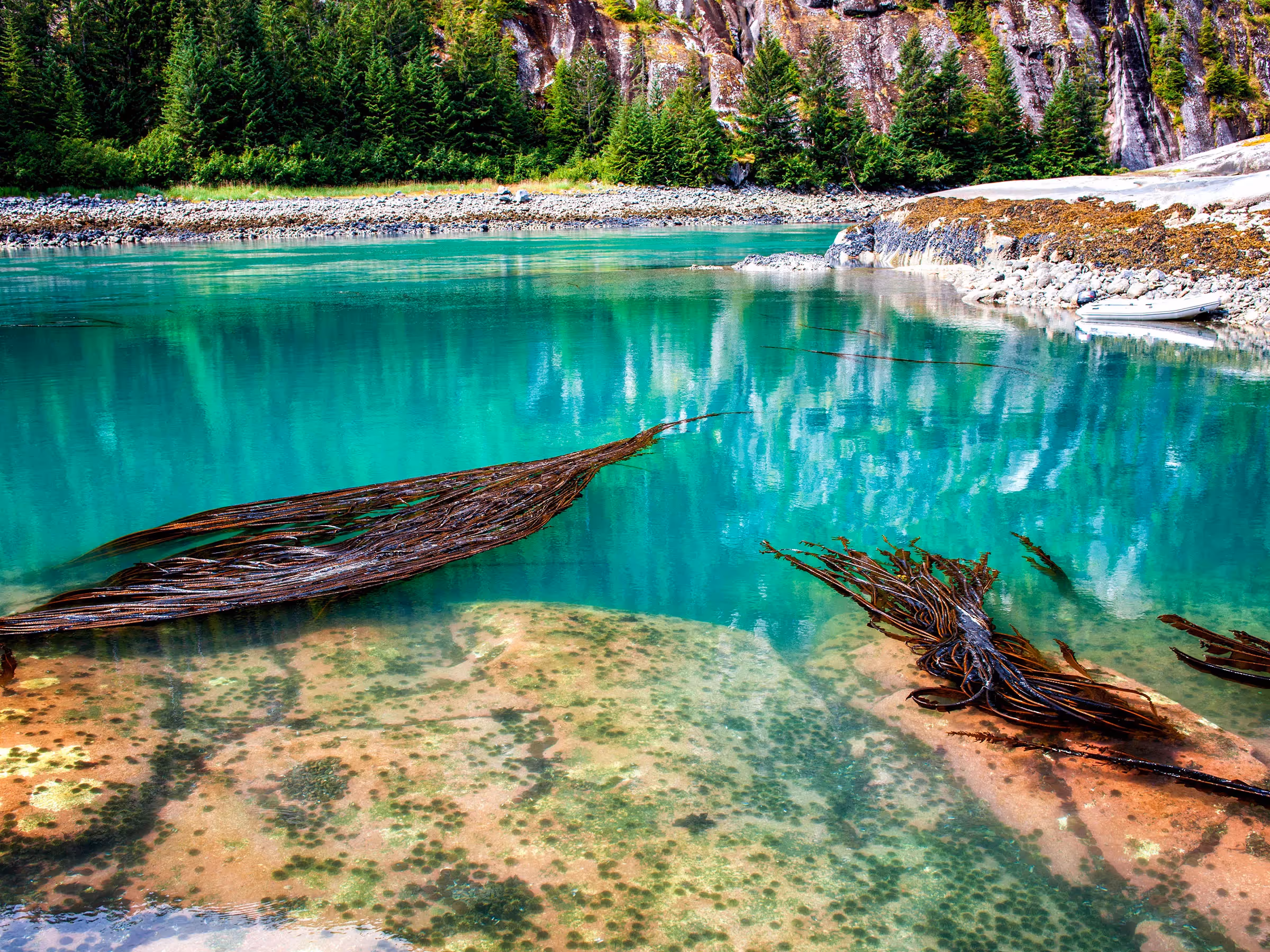 Alaska Wilderness Charters—Ford’s Terror Wilderness—John Schnell Photography