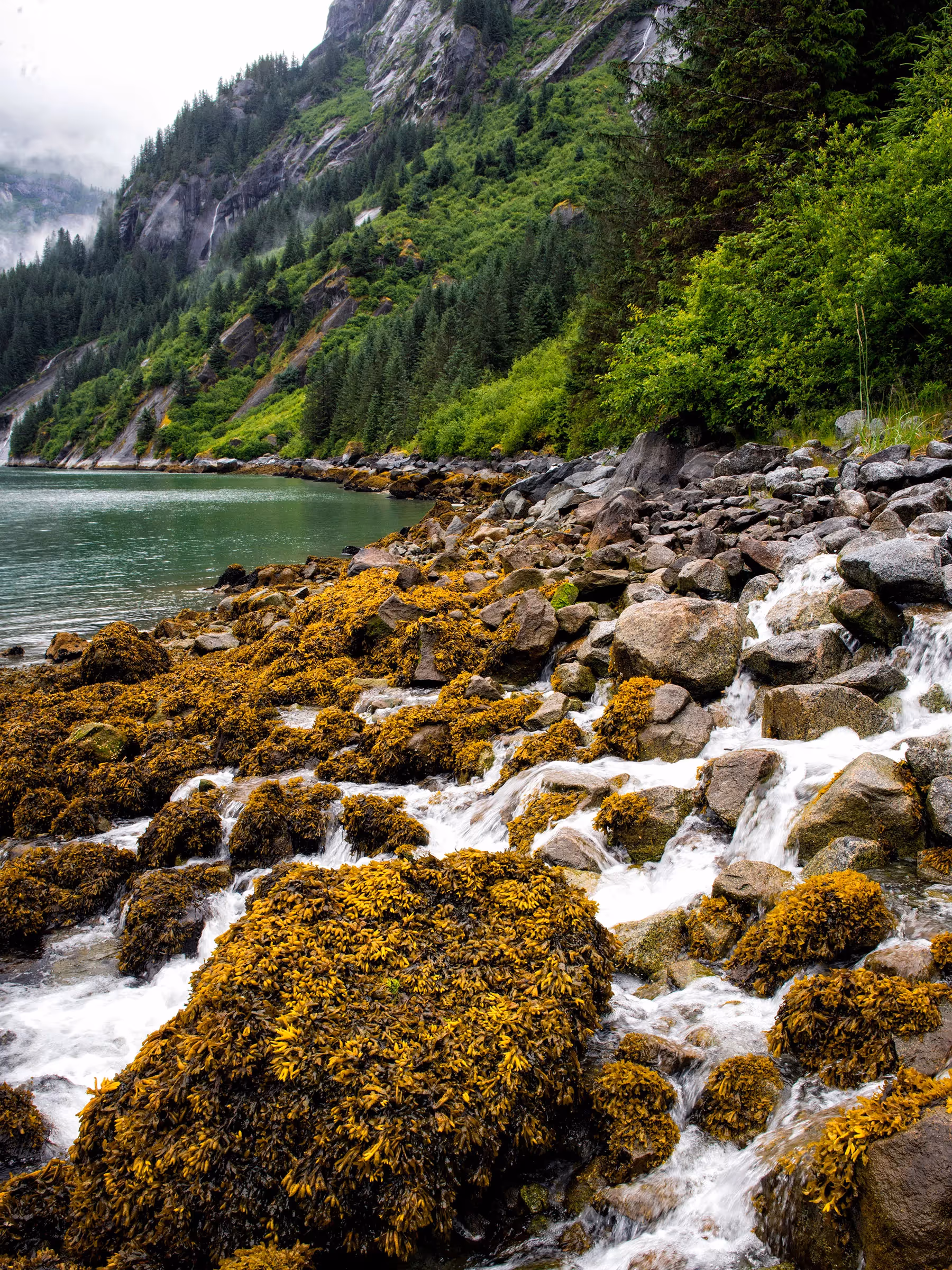 Alaska Wilderness Charters—Ford’s Terror Wilderness—John Schnell Photography