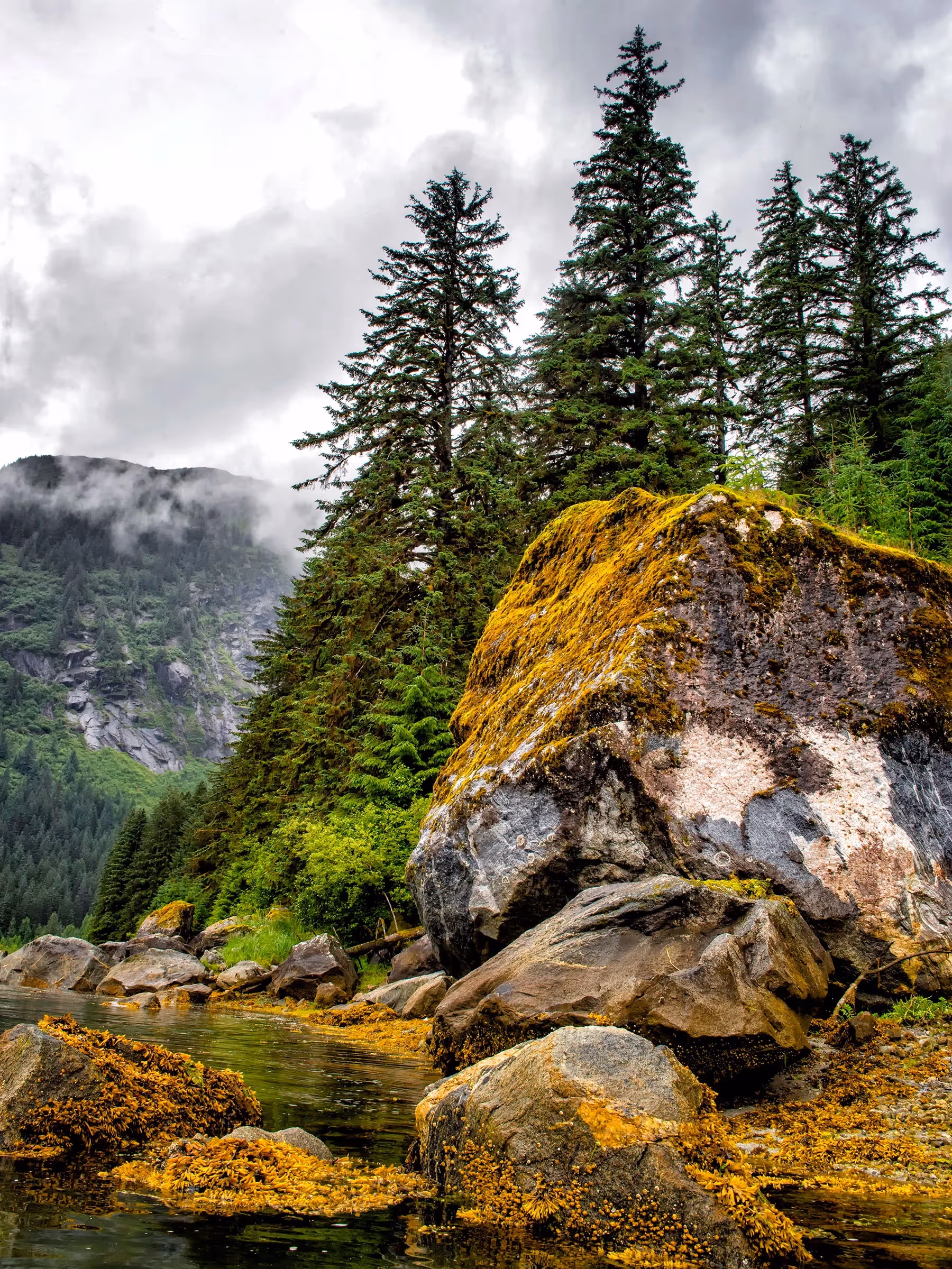 Alaska Wilderness Charters—Ford’s Terror Wilderness—John Schnell Photography