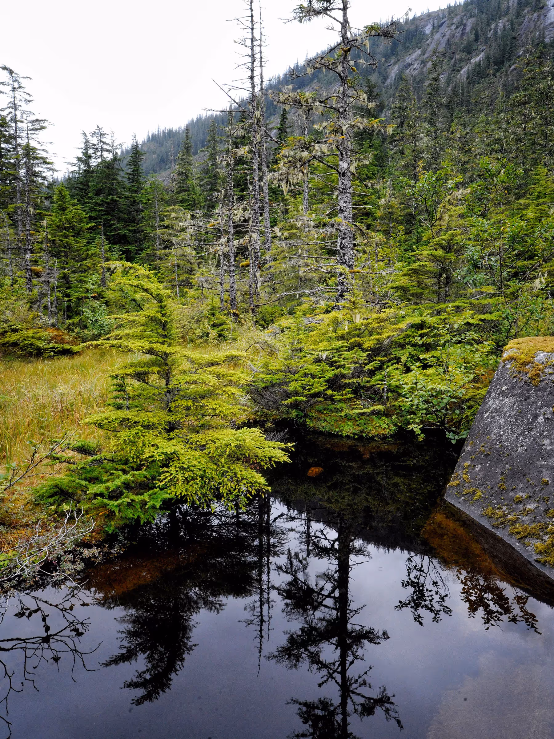 Alaska Wilderness Charters—Ford’s Terror Wilderness—John Schnell Photography