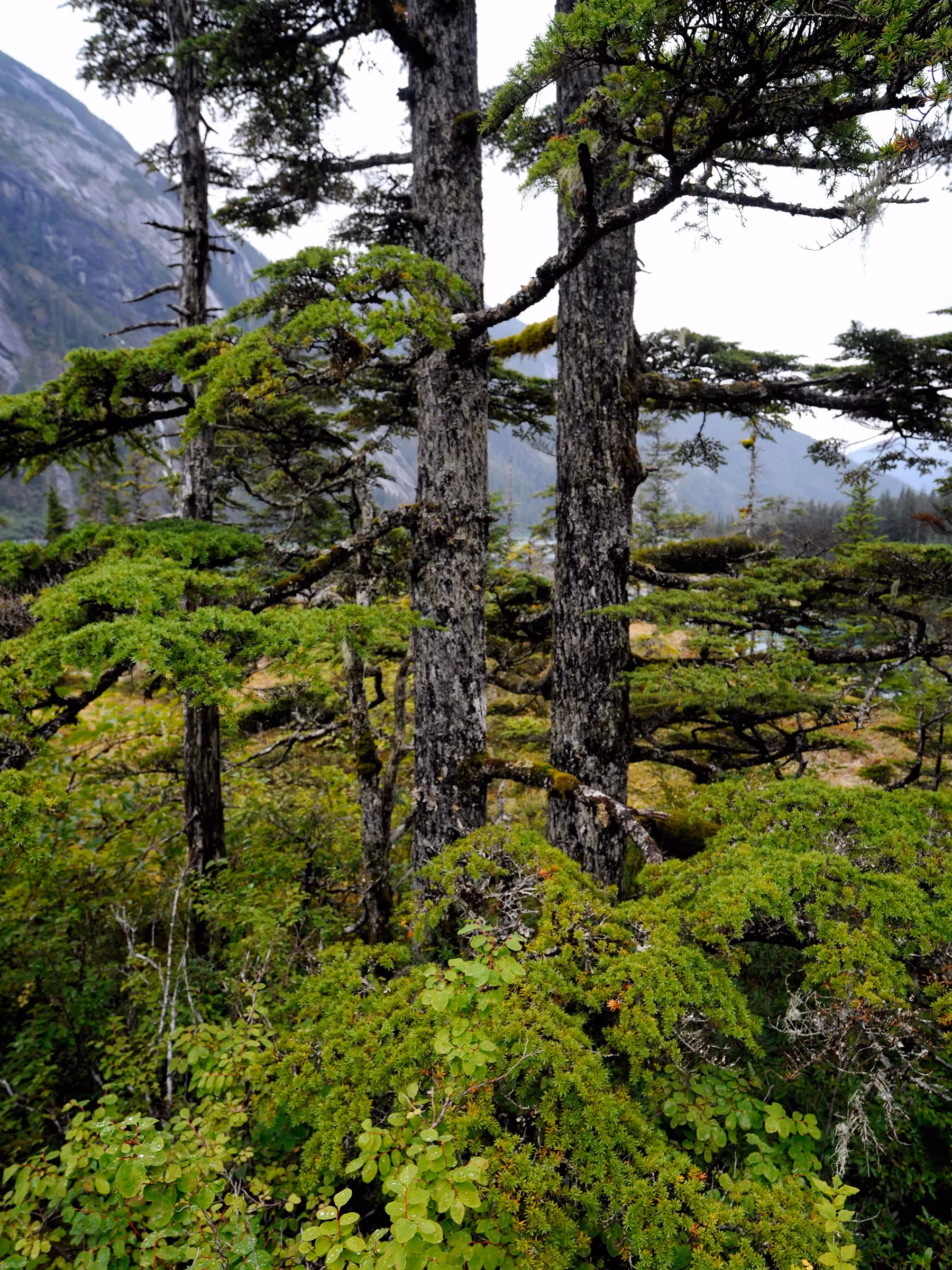 Alaska Wilderness Charters—Ford’s Terror Wilderness—John Schnell Photography