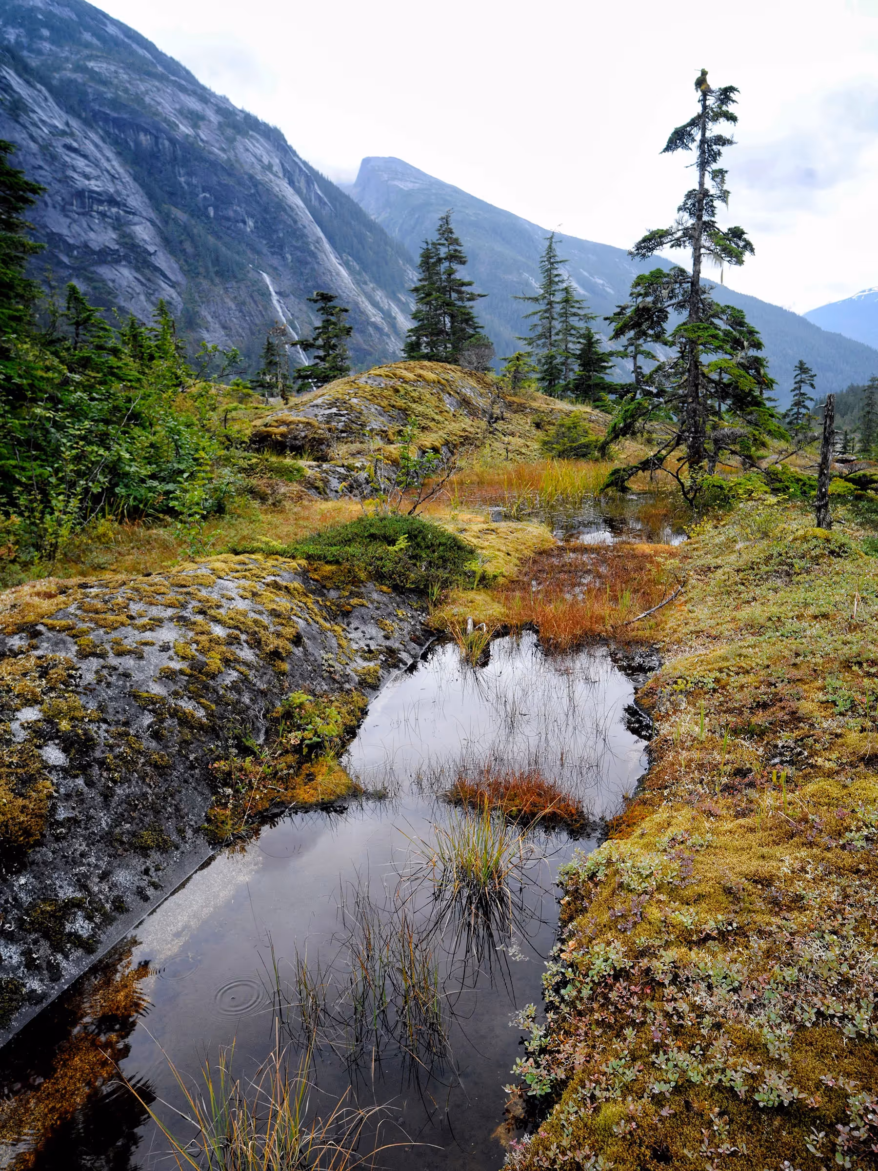 Alaska Wilderness Charters—Ford’s Terror Wilderness—John Schnell Photography