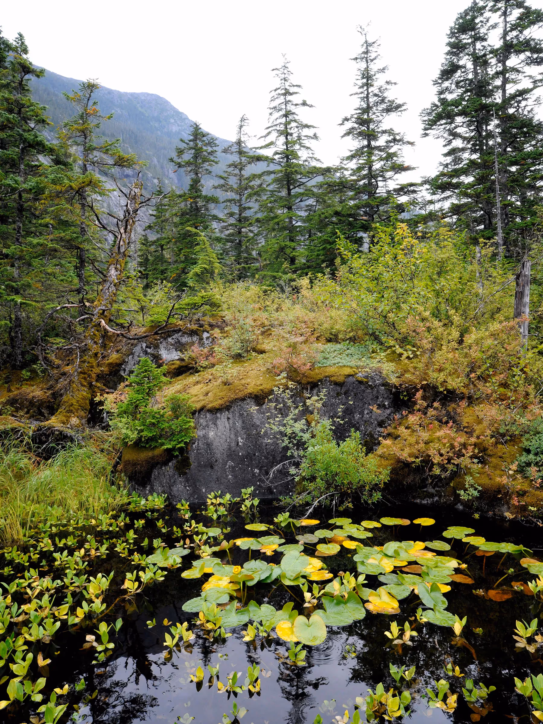 Alaska Wilderness Charters—Ford’s Terror Wilderness—John Schnell Photography