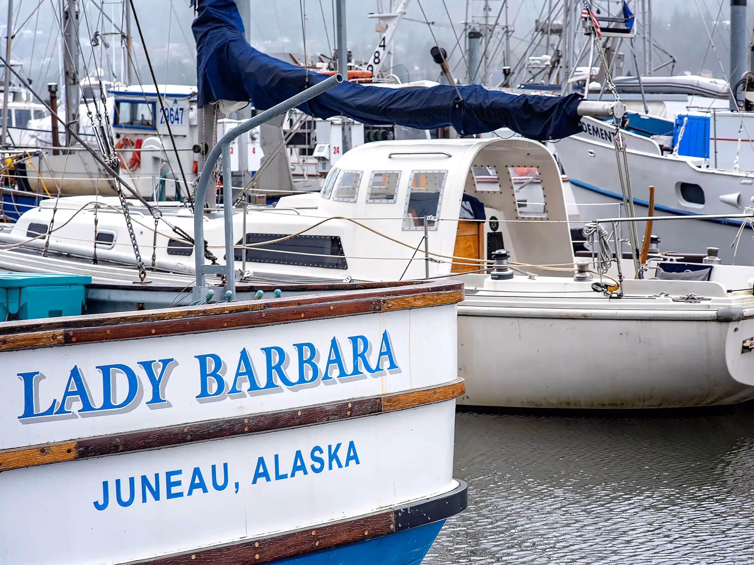 Alaska Wilderness Charters—Juneau—John Schnell Photography
